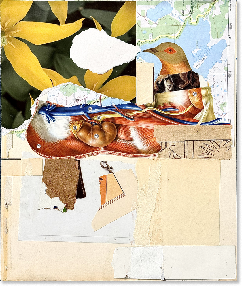 28 lemons, collage, 12.5"H x 10.5"W