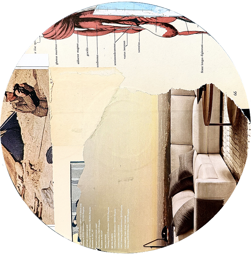A collage of torn paper revealing various images including an illustration of a scorpion, a photograph of a person with a dog at a beach, and an interior shot of a living room with a white sofa and wooden table.