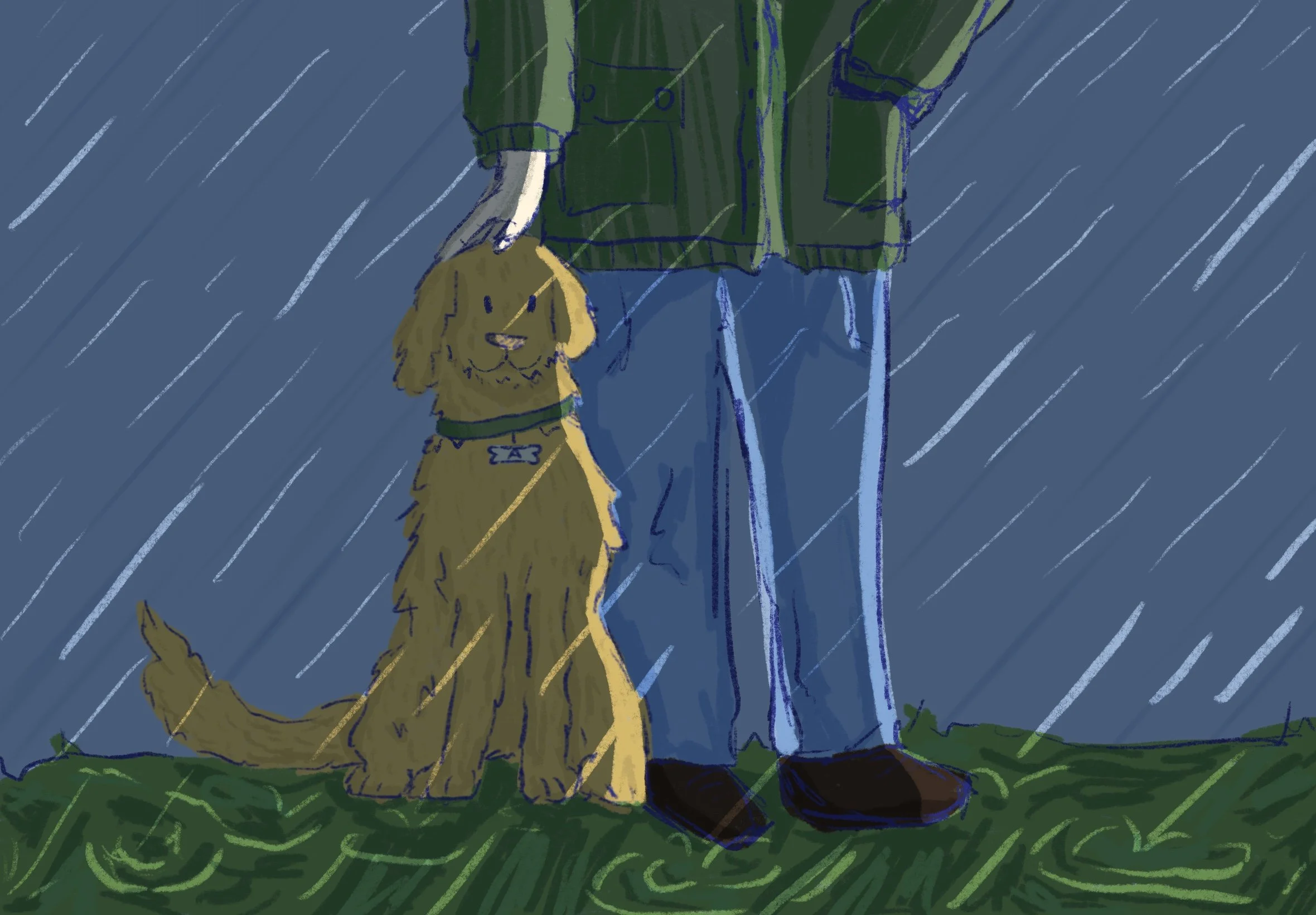 A person wearing a green coat and blue jeans walking with a yellow dog in the rain. The dog has a collar with a bone-shaped tag and is sitting on the grass, while the person is standing nearby with an umbrella.