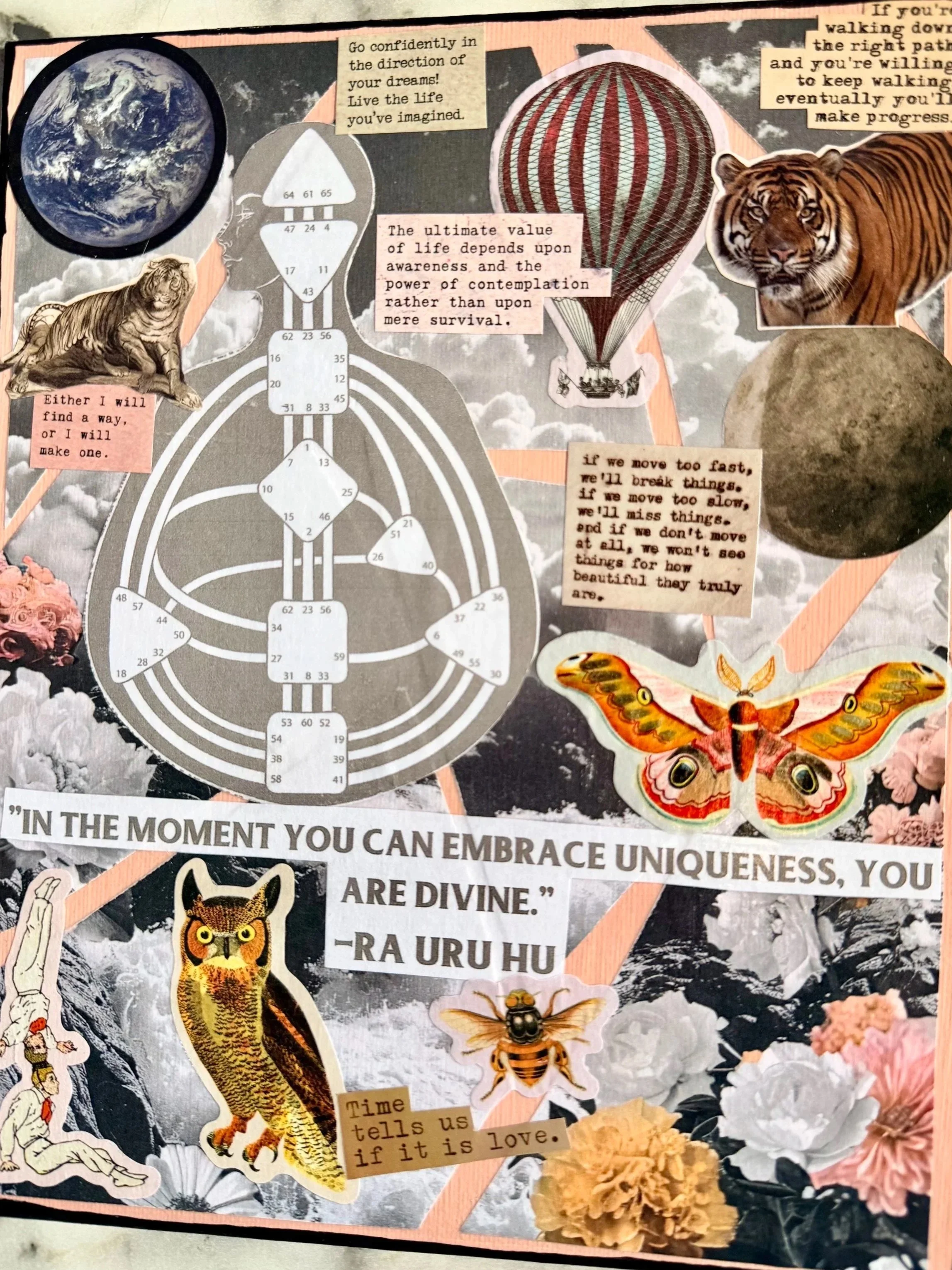 Collage featuring images of the Earth, a hot air balloon, a tiger, a butterfly, a moth, a bee, a cat, various flowers, clouds, and several motivational quotes and messages.