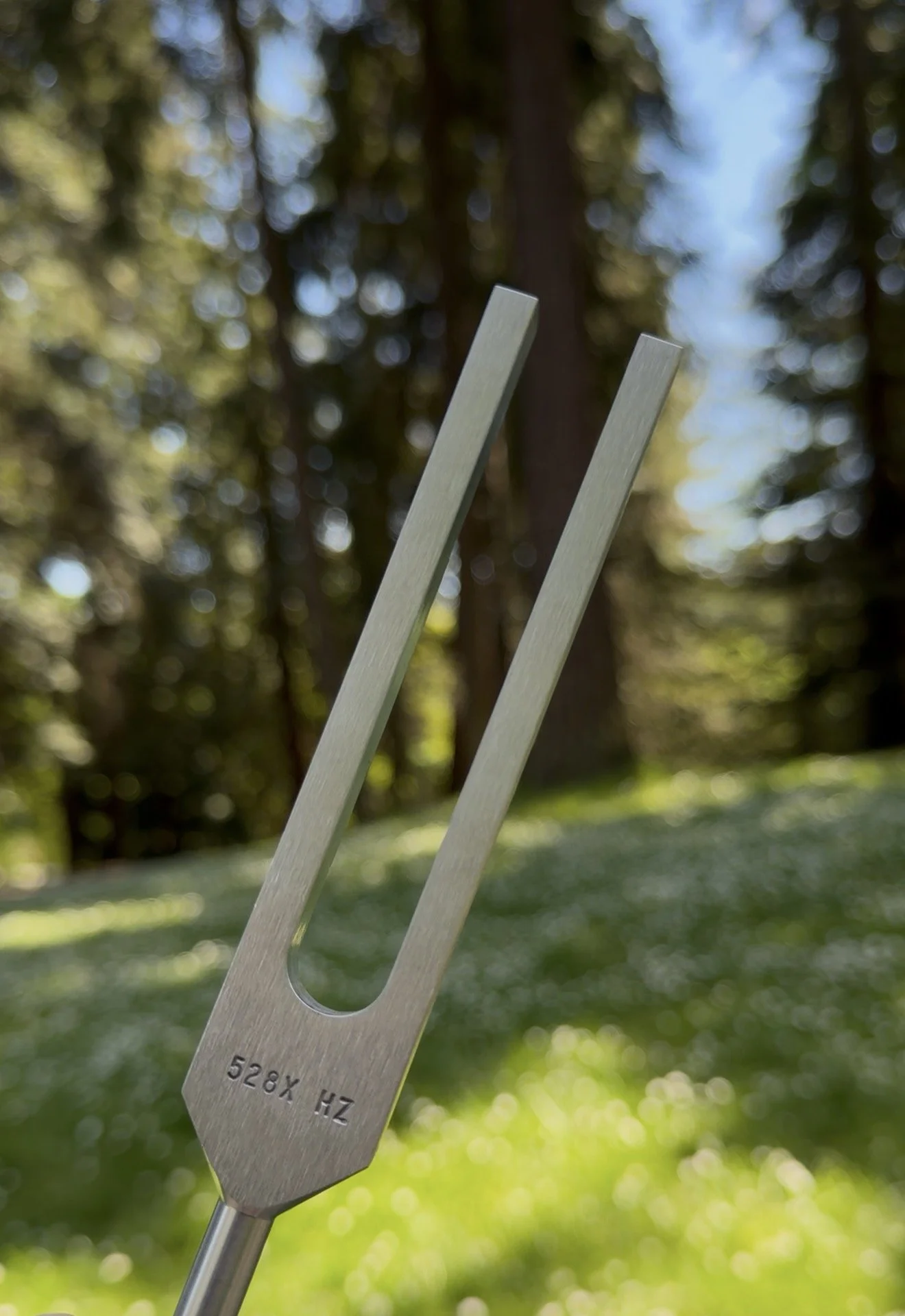 A metal soil test probe with a hole in the middle, held upright outdoors in a green grassy area with tall trees in the background, on a sunny day.