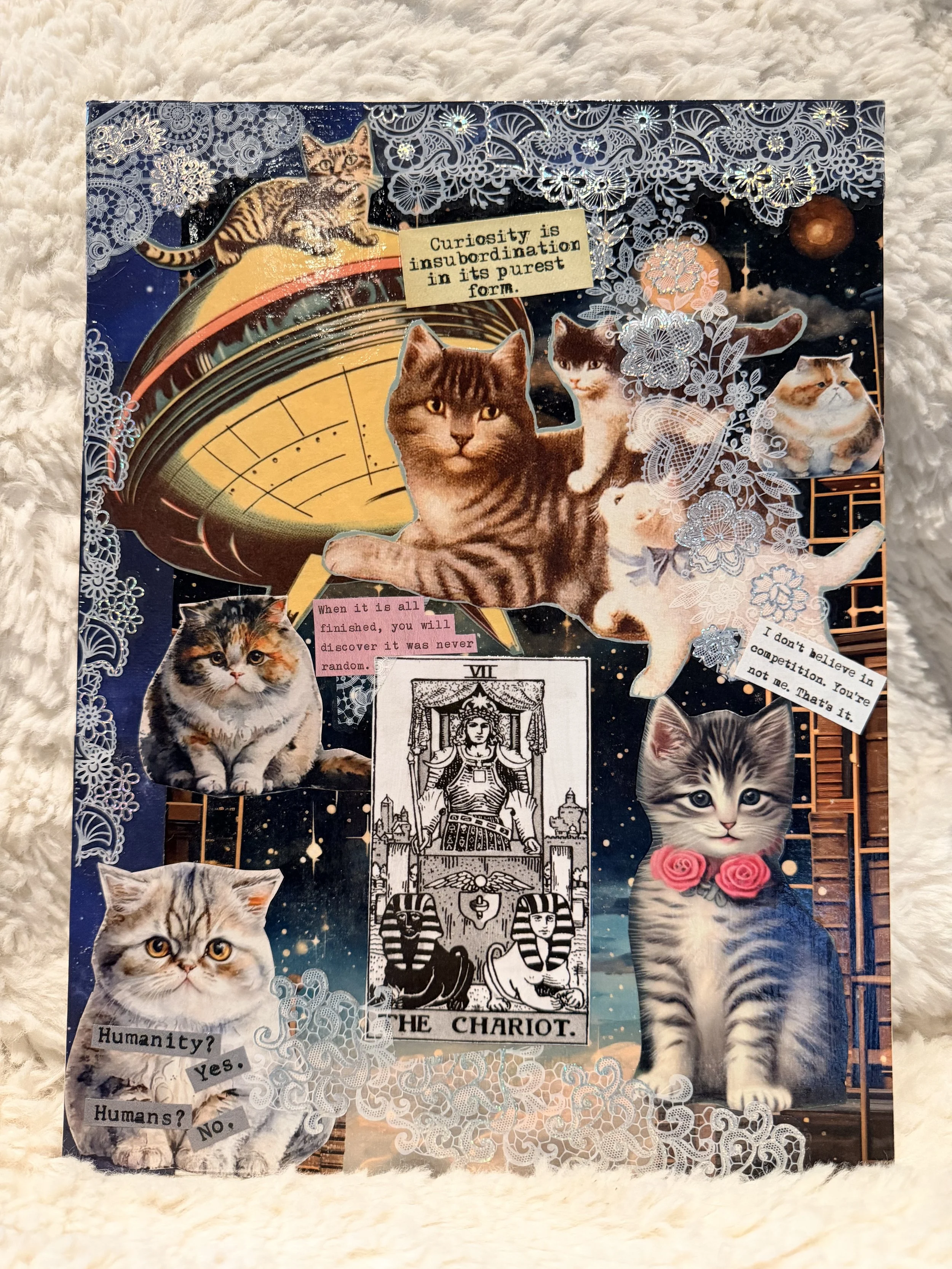 A collage featuring several cats with artistic elements, including lace effects, tarot cards, quotes, and cosmic backgrounds.