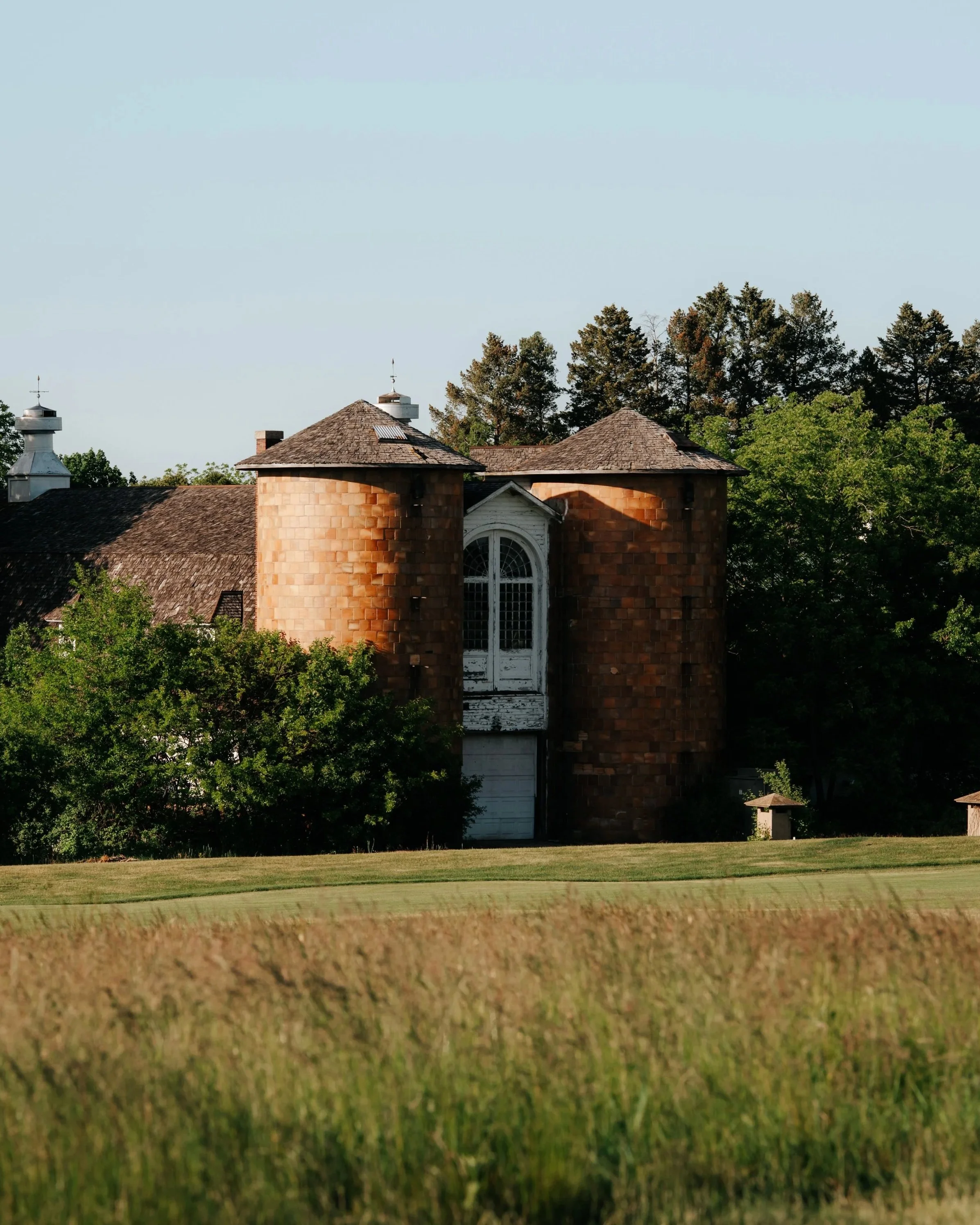 Lawsonia+Website-01.jpg