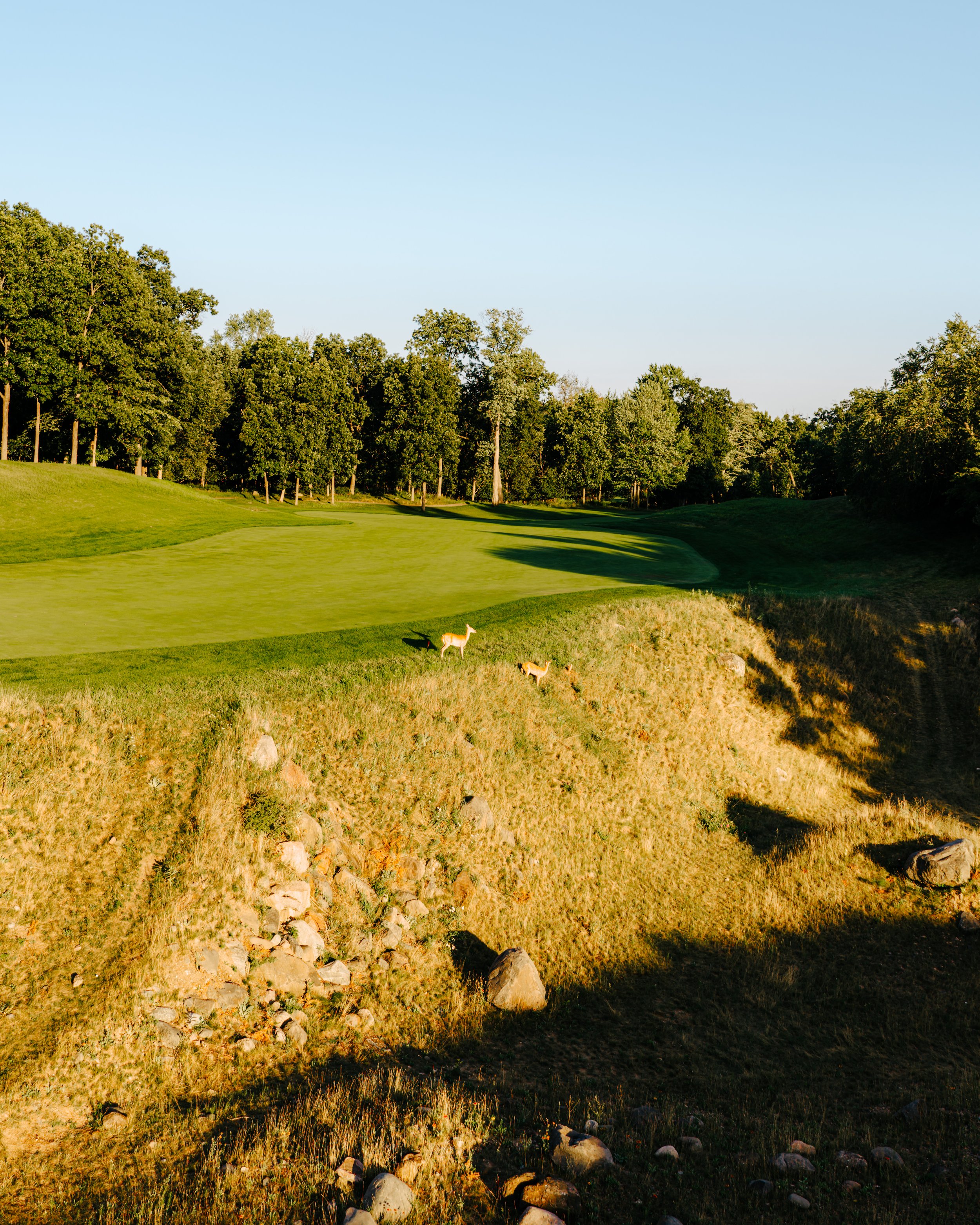 wild rock 8.18-14.jpg
