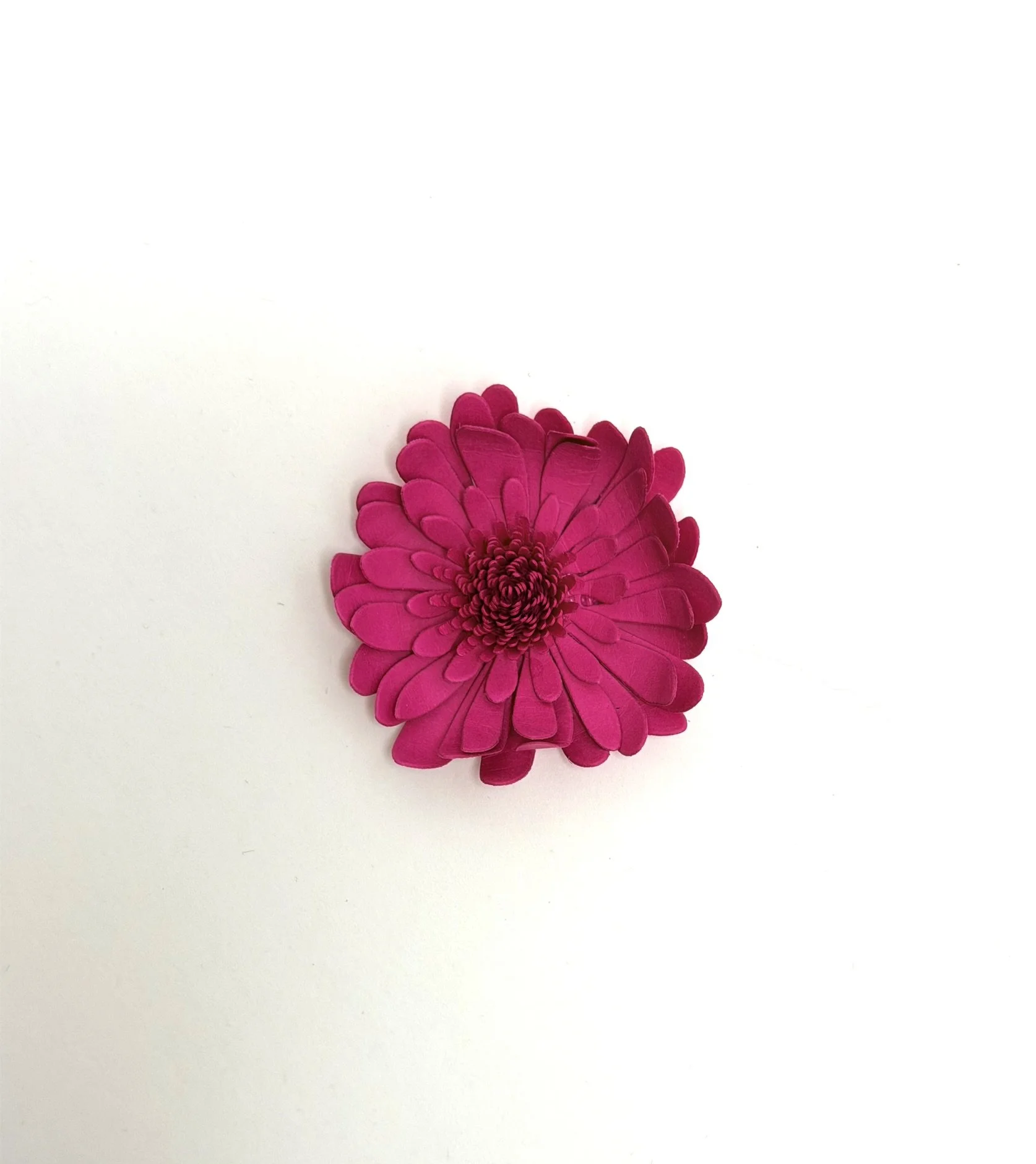 IMG_6185.JPEG