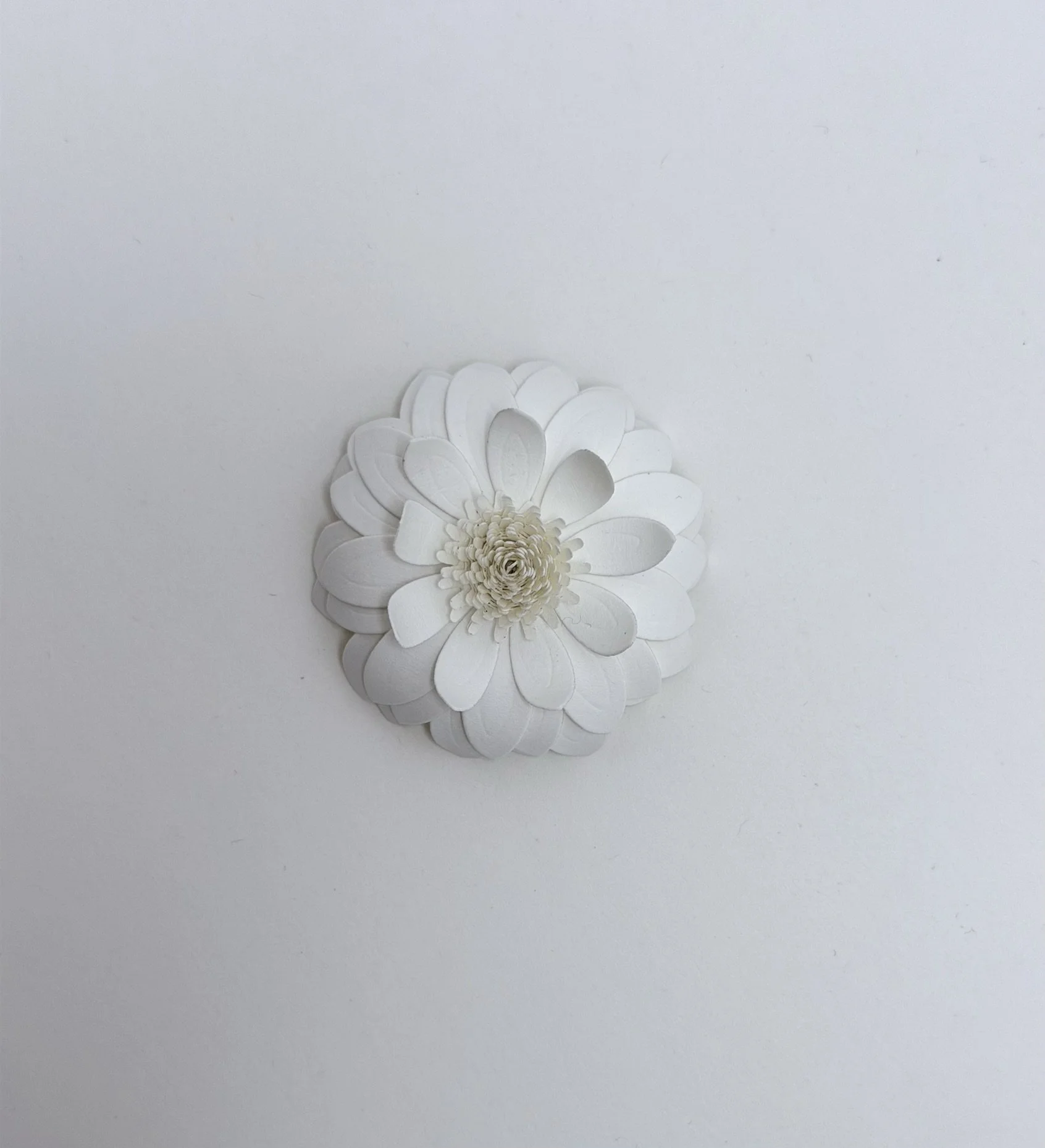 NATA