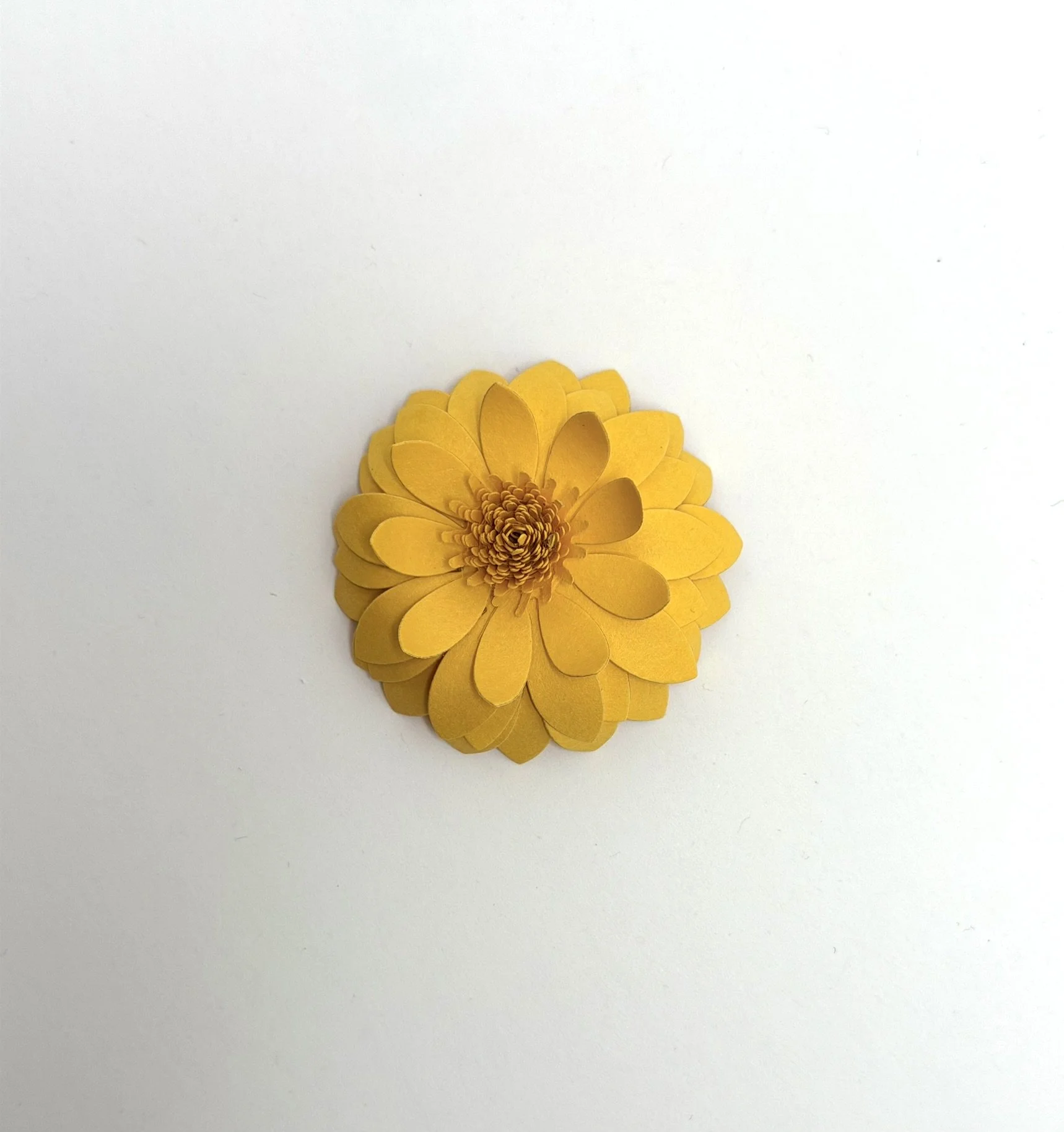 NATA