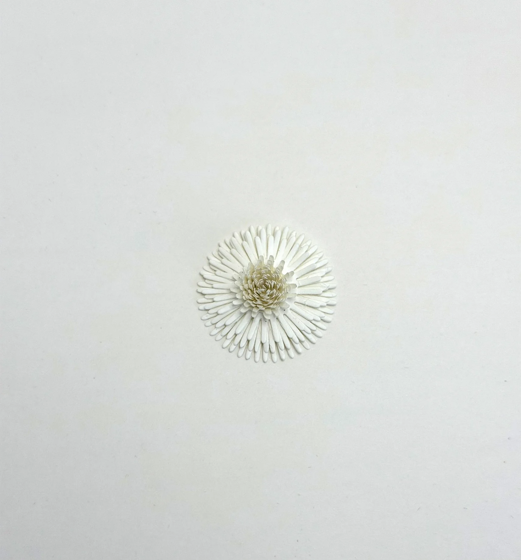 Nima