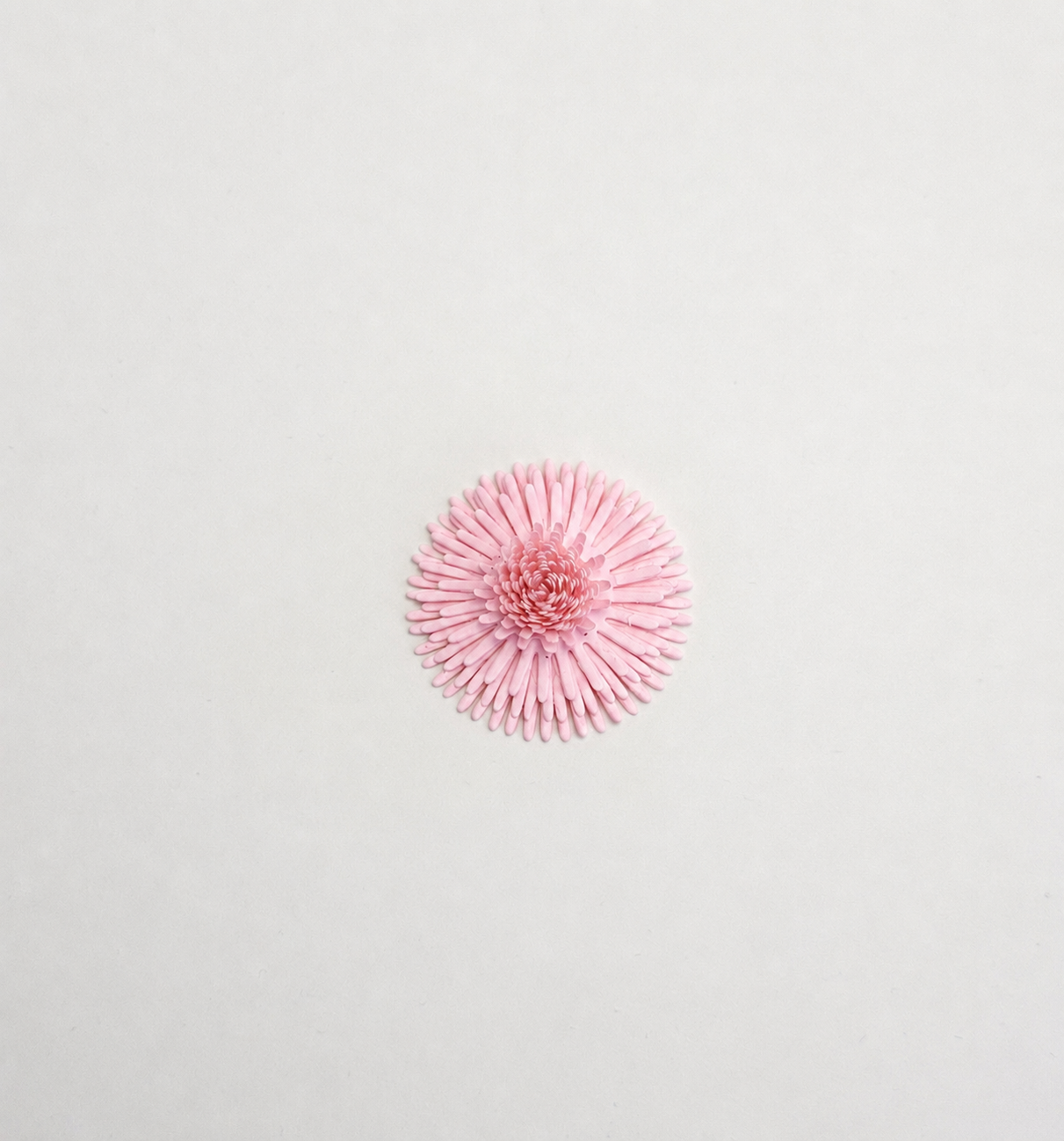 Nima