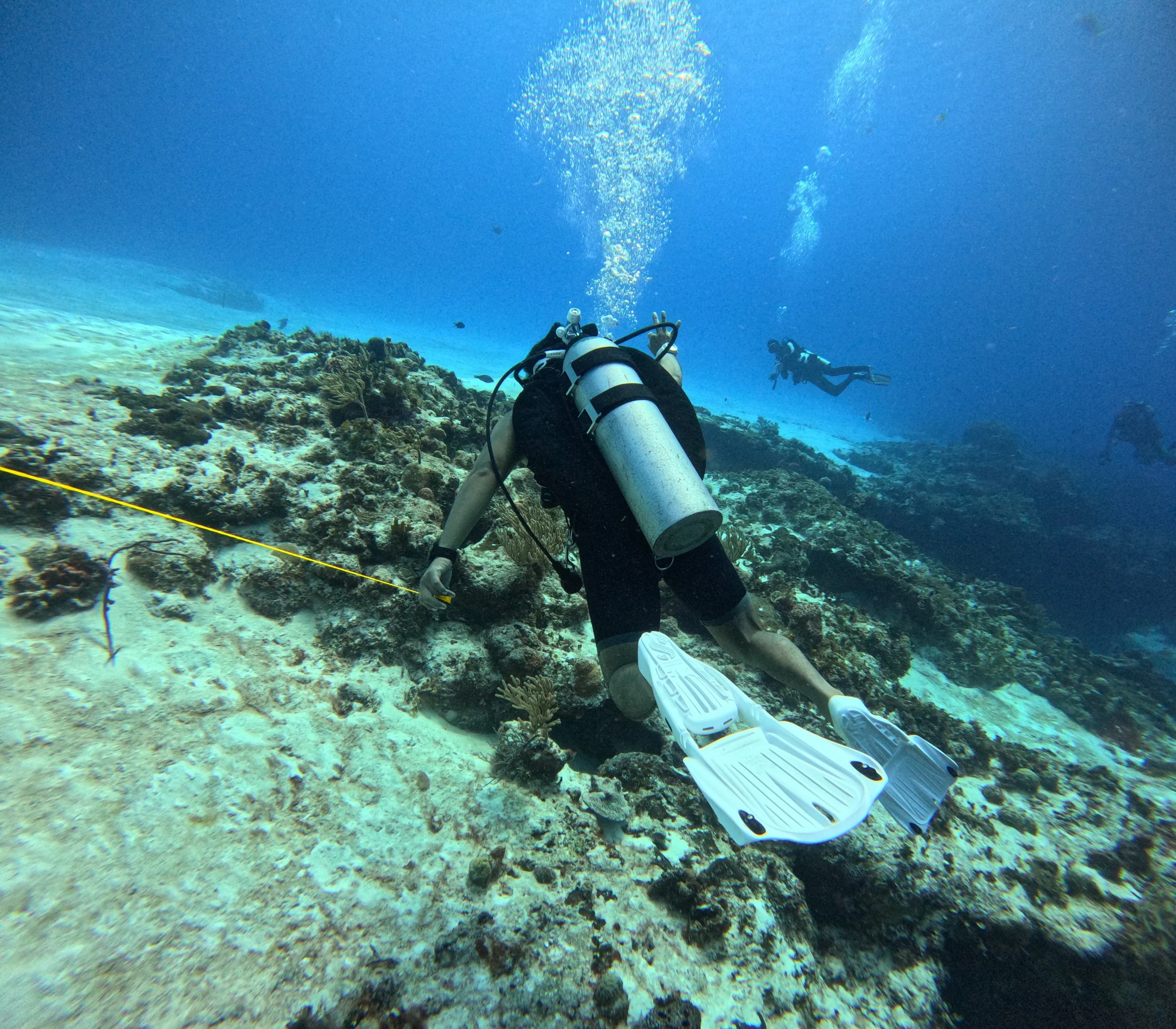 Underwater scene with a scuba diver and a remote-controlled underwater robot on a coral reef.