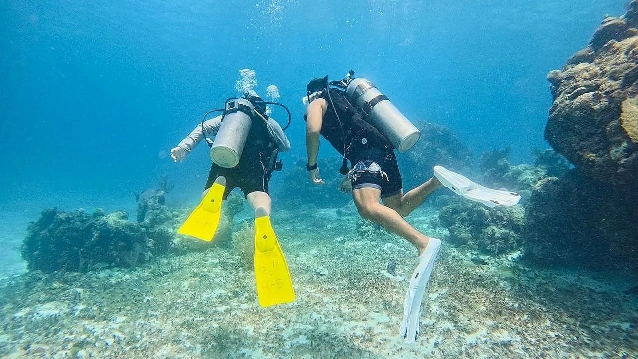 Two scuba divers underwater near a rocky coral reef.