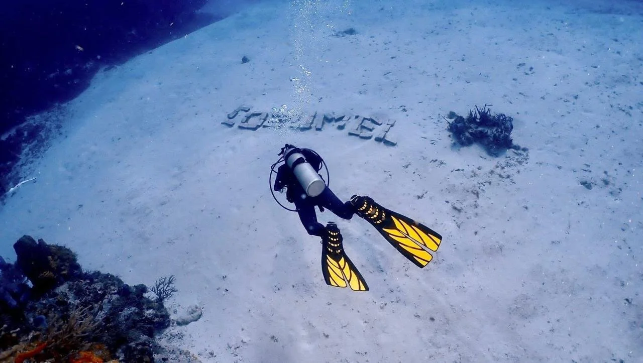 Underwater photo of scuba diver swimming above the sandy ocean floor with the word 'TEAMWORK' spelled out with rocks, some coral and seaweed nearby.