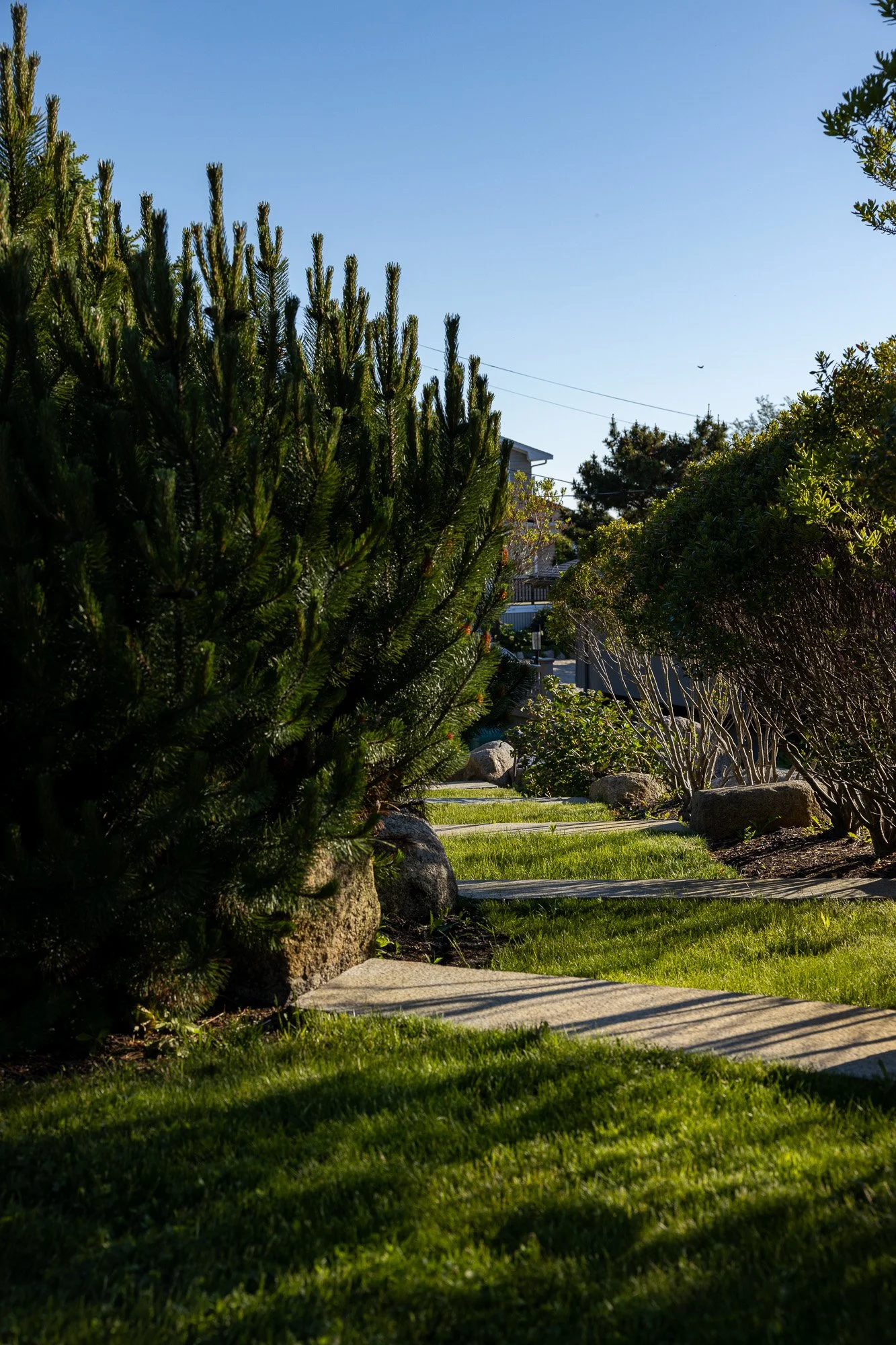 A front yard with lush green grass, large rocks lining the garden bed, a concrete pathway, and trees under a clear blue sky, with part of a house visible in the background.