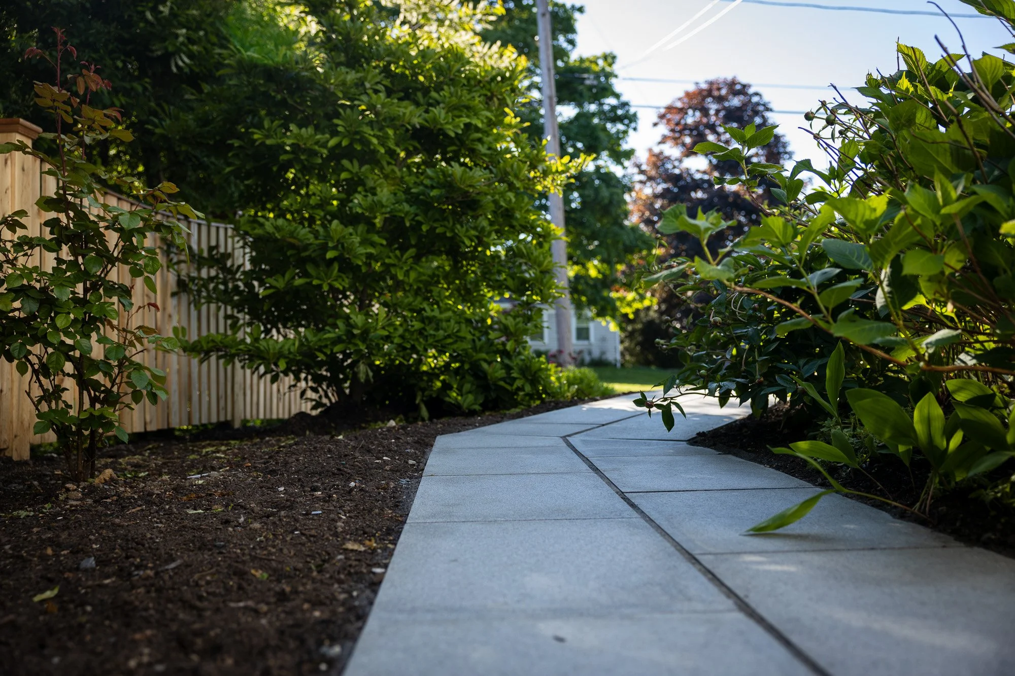 A curved concrete sidewalk beside a garden bed with lush green bushes, a tall wooden fence, and trees, with power lines and a house visible in the background under a clear blue sky.
