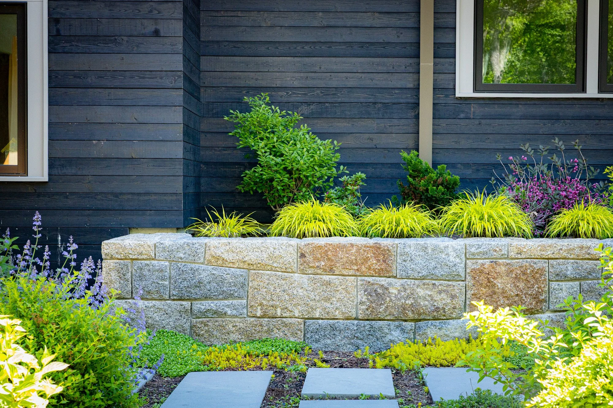 A modern house with dark wooden exterior wall and window, garden with green and purple plants, stone wall, and stepping stones.