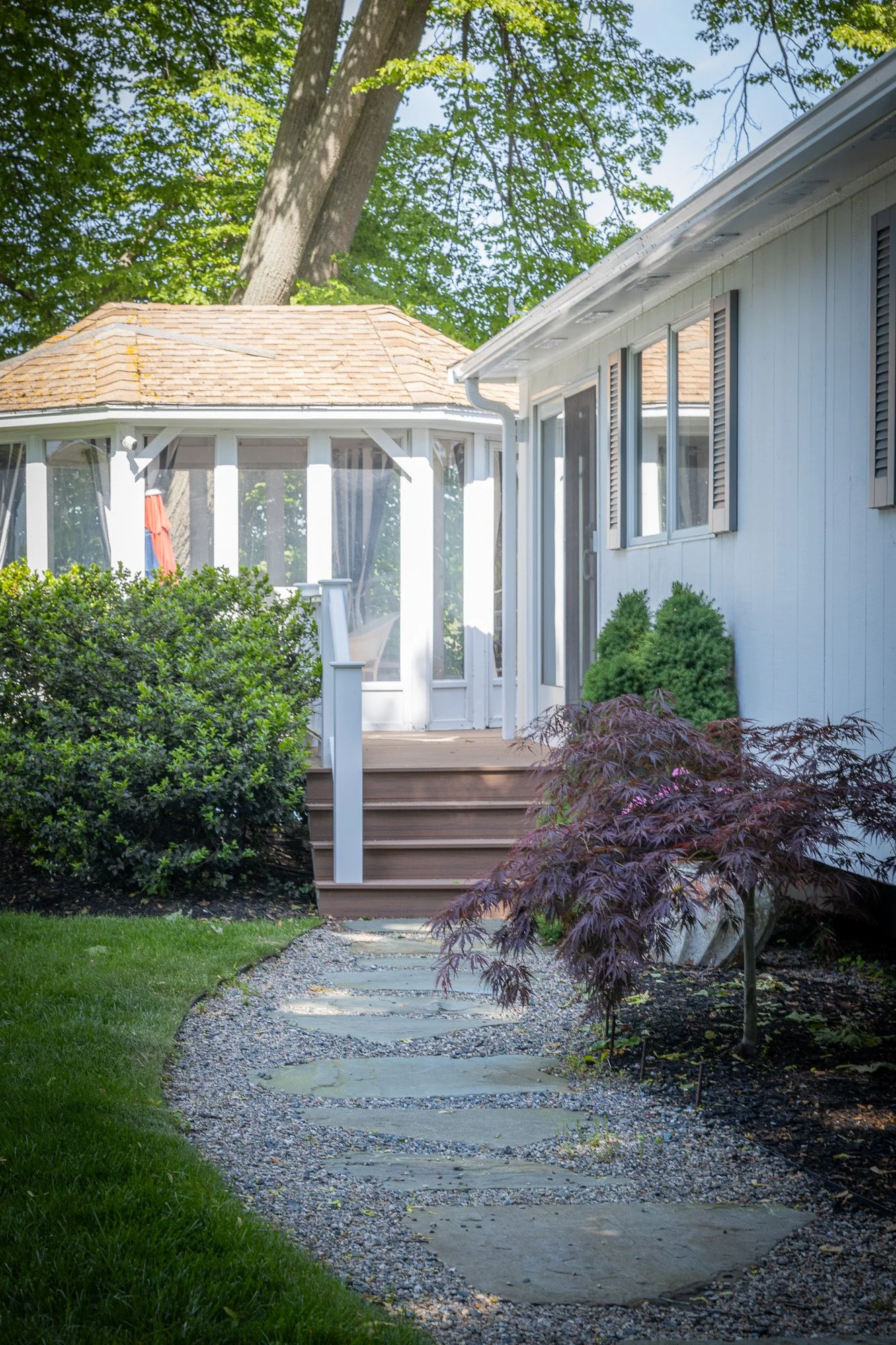 A house's backyard garden with a stone pathway, green grass, shrubs, purple Japanese maple tree, and a raised wooden deck with stairs, leading to a porch with a white frame house, windows, and blue shutters. The background shows trees with green leav