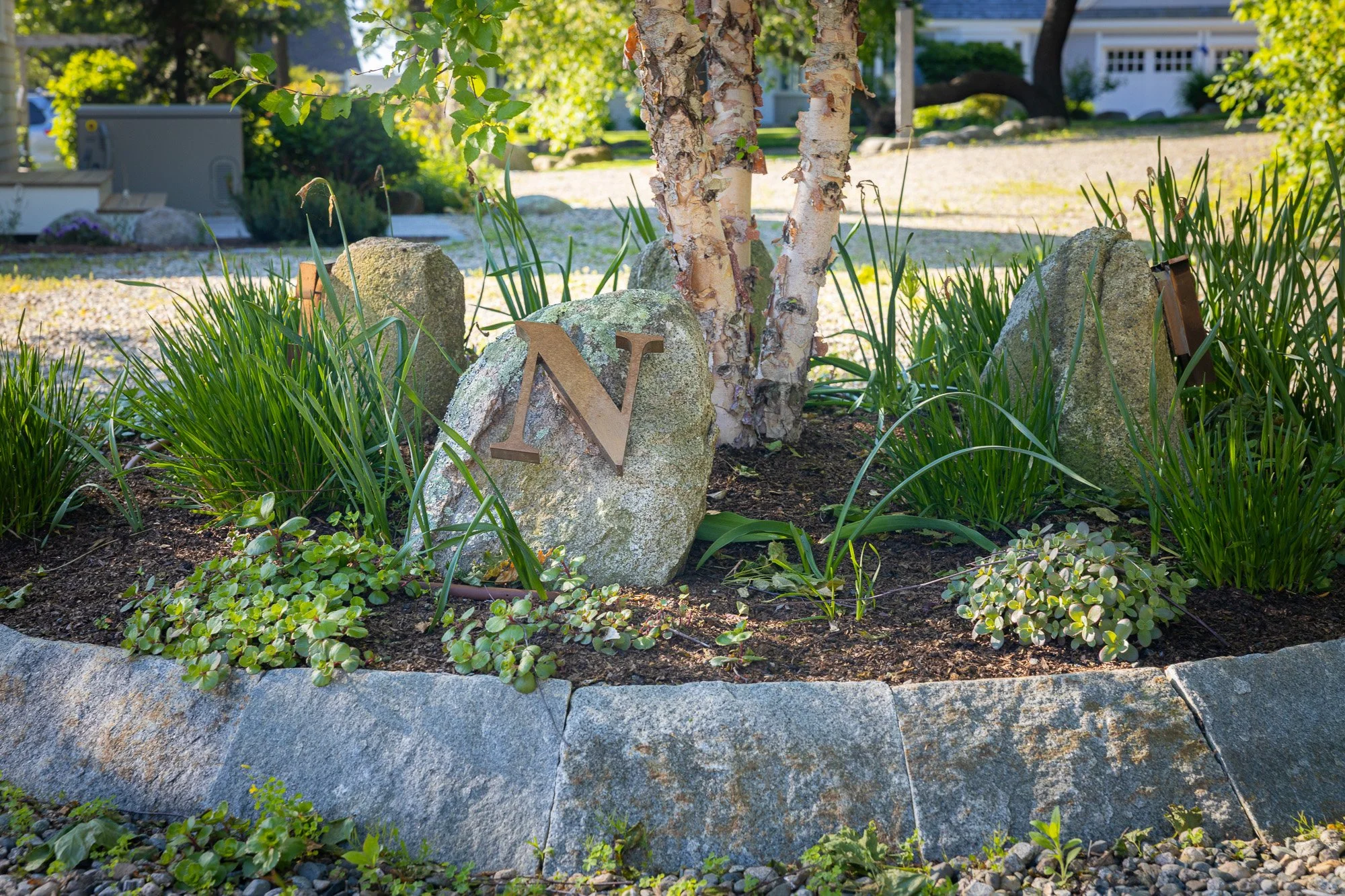 A landscaped garden bed with rocks, tall green grass, small leafy plants, a birch tree, and a metal letter N on a large rock.