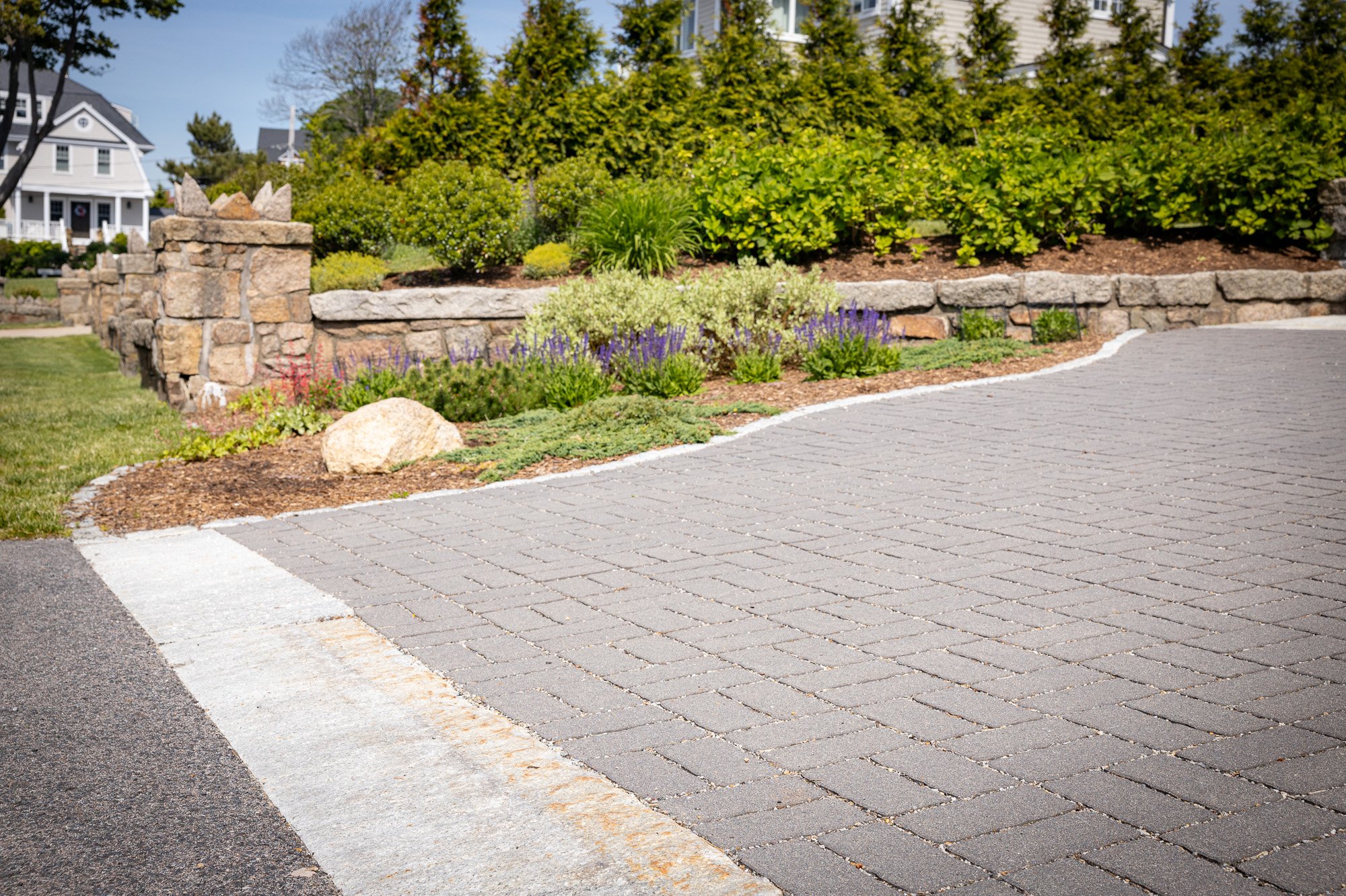 A landscaped front yard with a stone retaining wall, purple flowering plants, bushes, trees, and a paved driveway leading to a sidewalk and a house in the background.