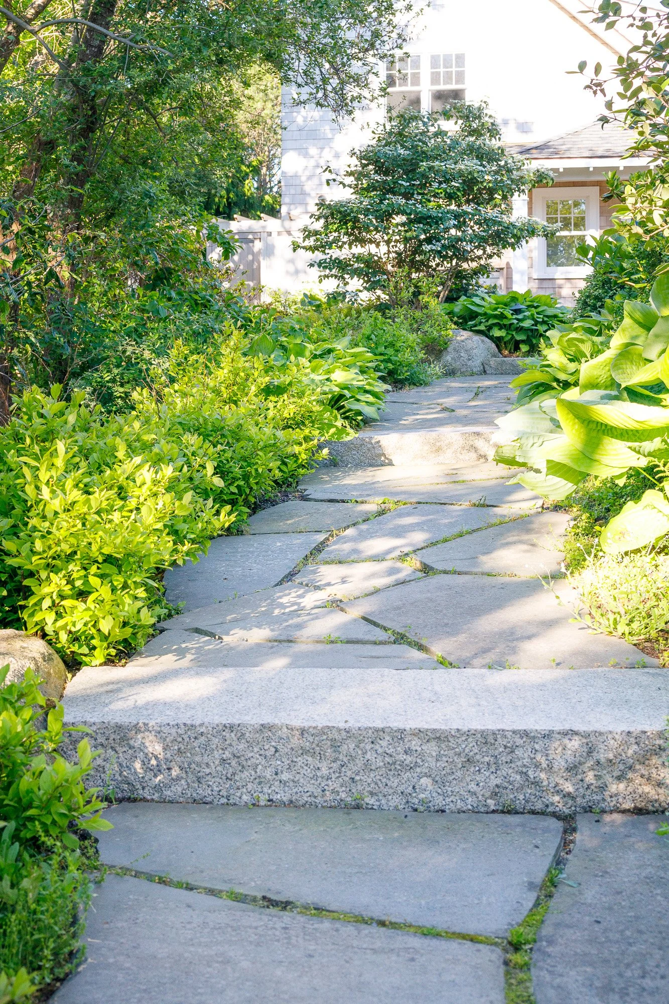 A stone pathway winding through a lush green garden with leafy bushes and trees, leading to a house with white walls and windows.