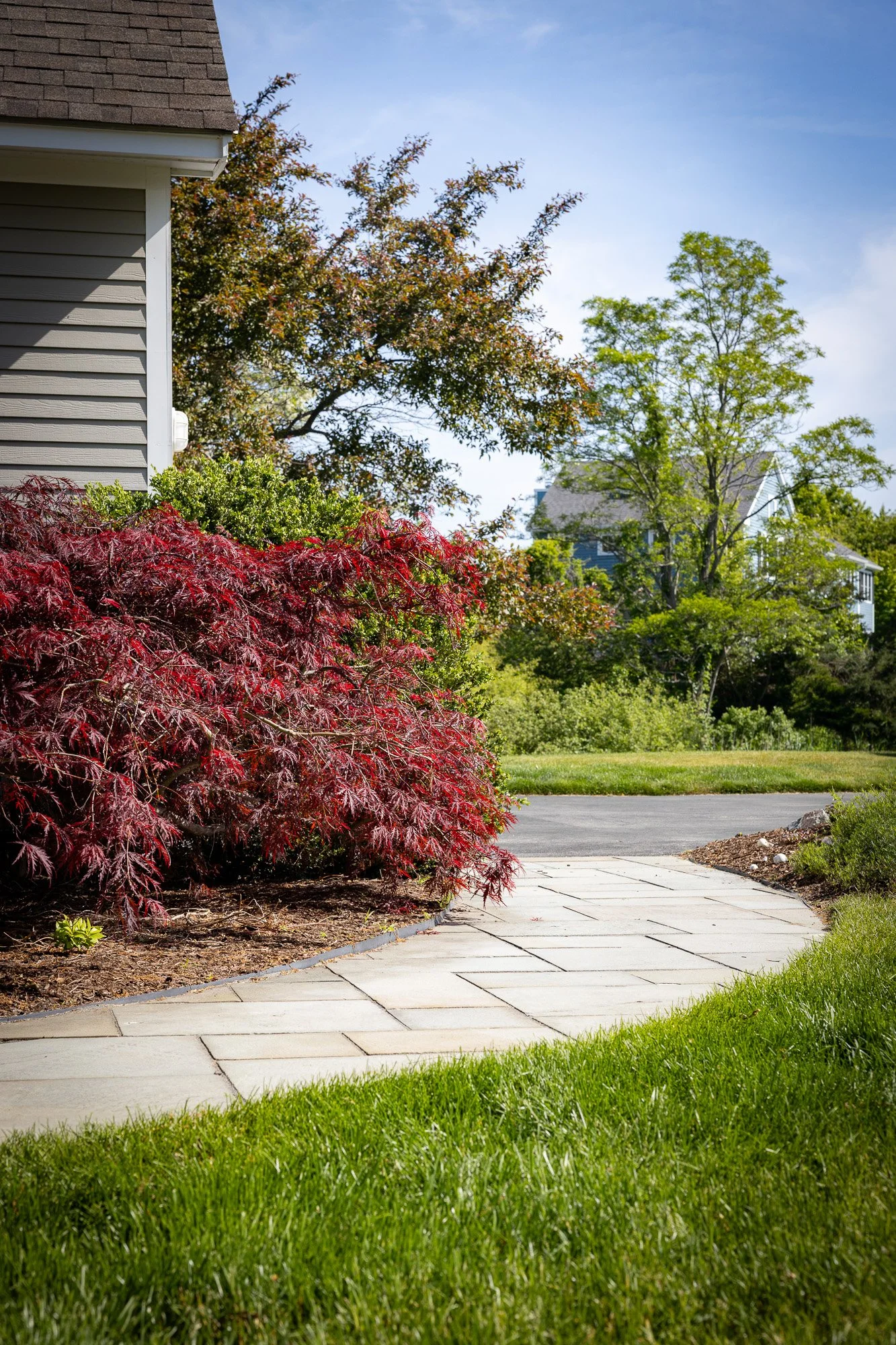 A suburban front yard with a sidewalk, green grass, bushes, and trees near a house, under a clear blue sky.