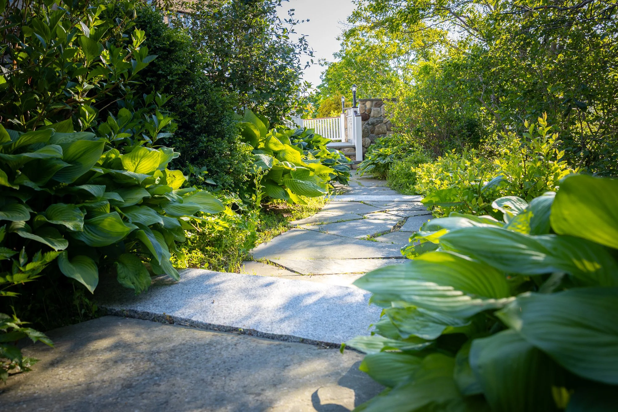A paved garden pathway surrounded by lush green foliage and trees, leading to a stone and white wooden gate in sunlight.