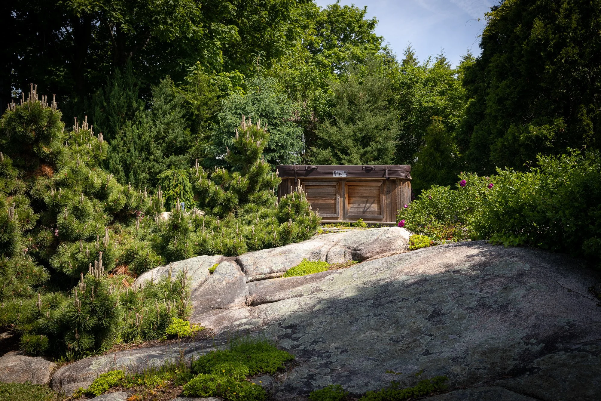 A lush garden scene with various green trees and shrubs, a large rock in the foreground, and a wooden structure or shed partially obscured by foliage in the background, under a clear blue sky.