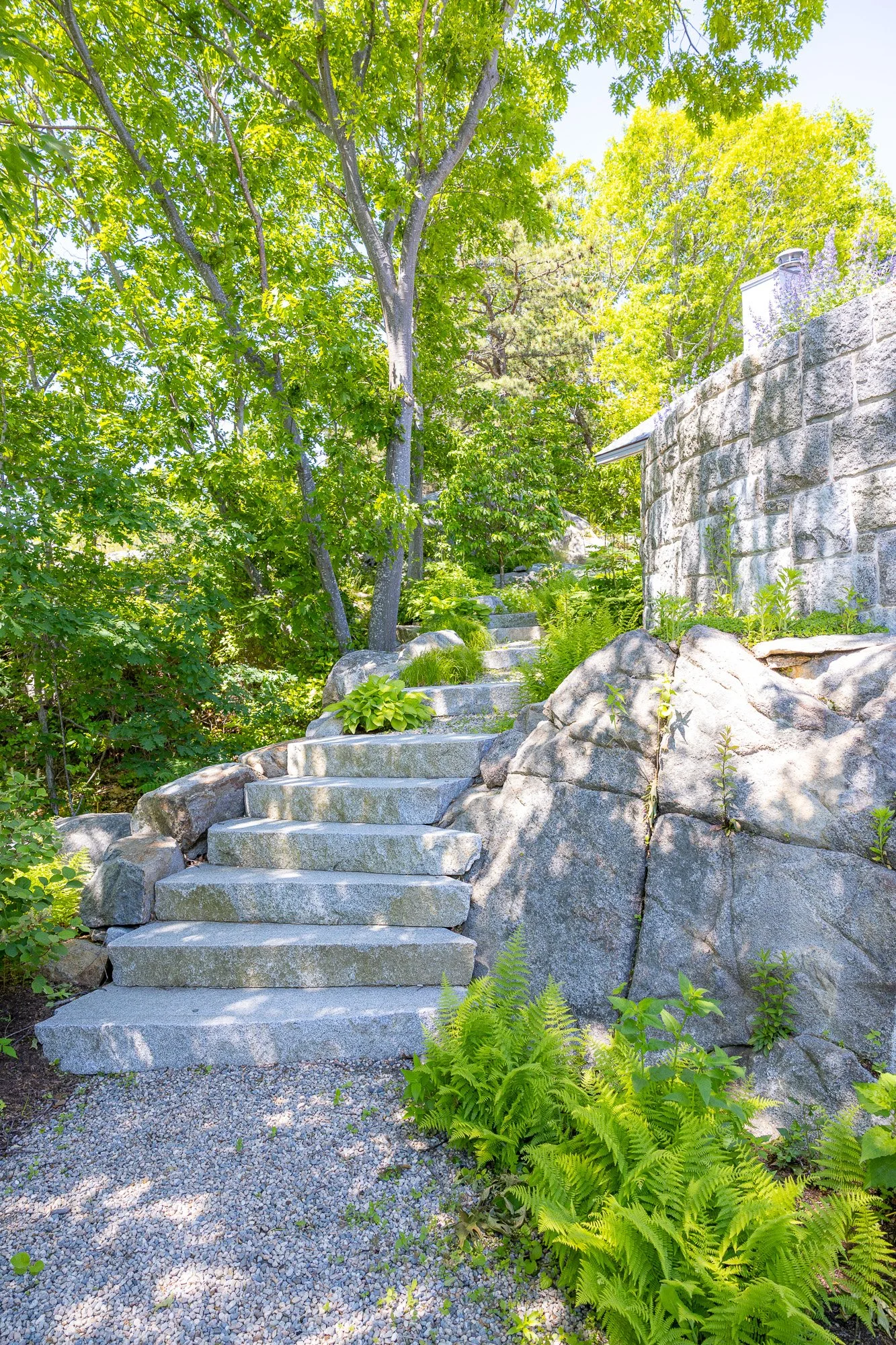 Stone steps leading up through a lush green garden with trees, ferns, and a stone wall on the right.