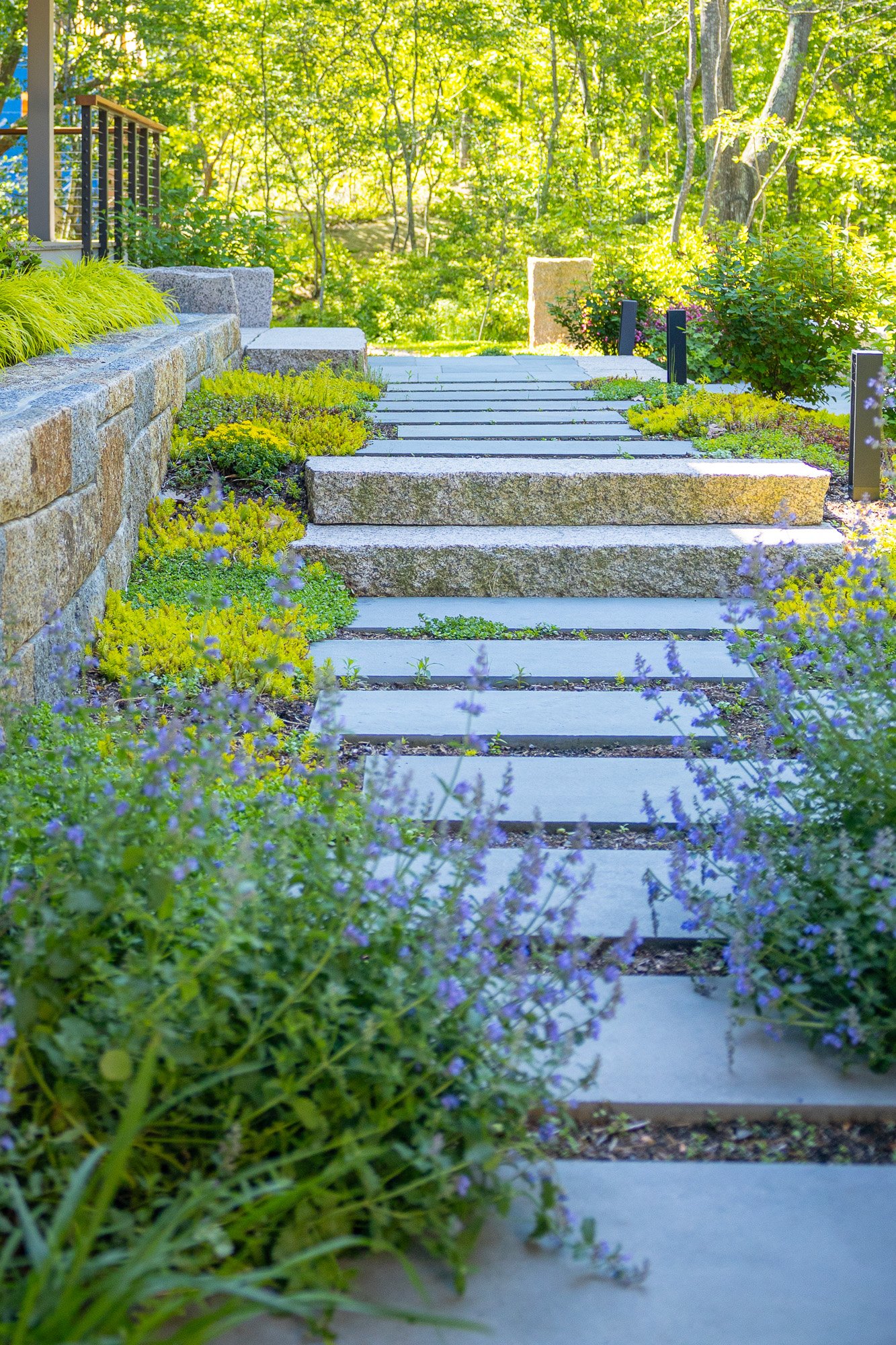 Stone pathway leading down a garden with green plants and purple flowers, surrounded by trees and sunlight.