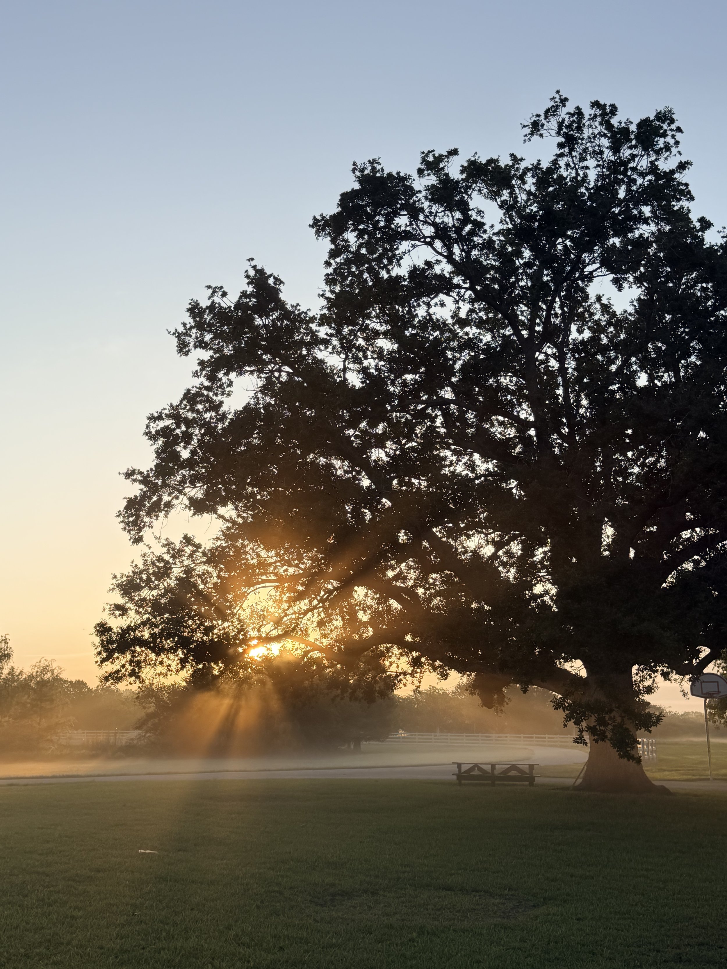 Peaceful sunrise and nature in Southwest Ranches