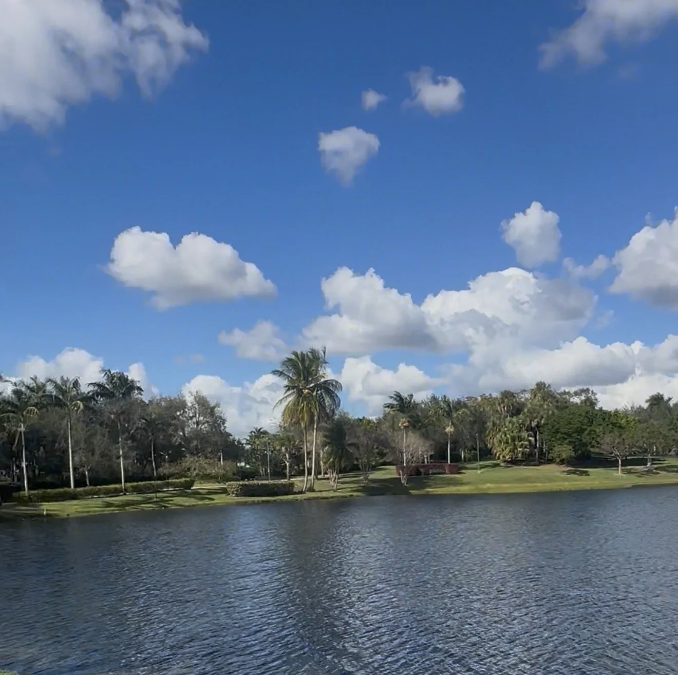 Quiet nature and lake view in Weston Florida