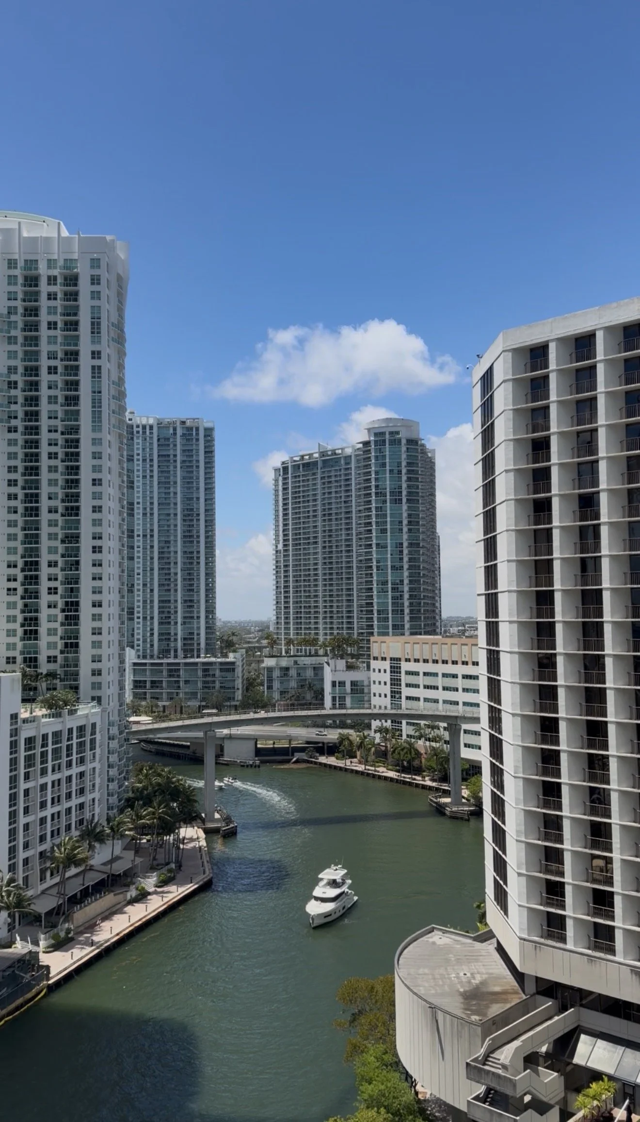 Miami waterfront skyline lifestyle