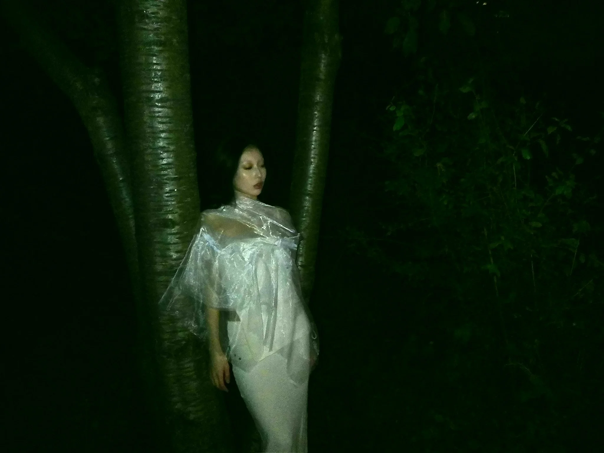 A woman in a shimmering dress standing among trees at night, surrounded by dark greenery.