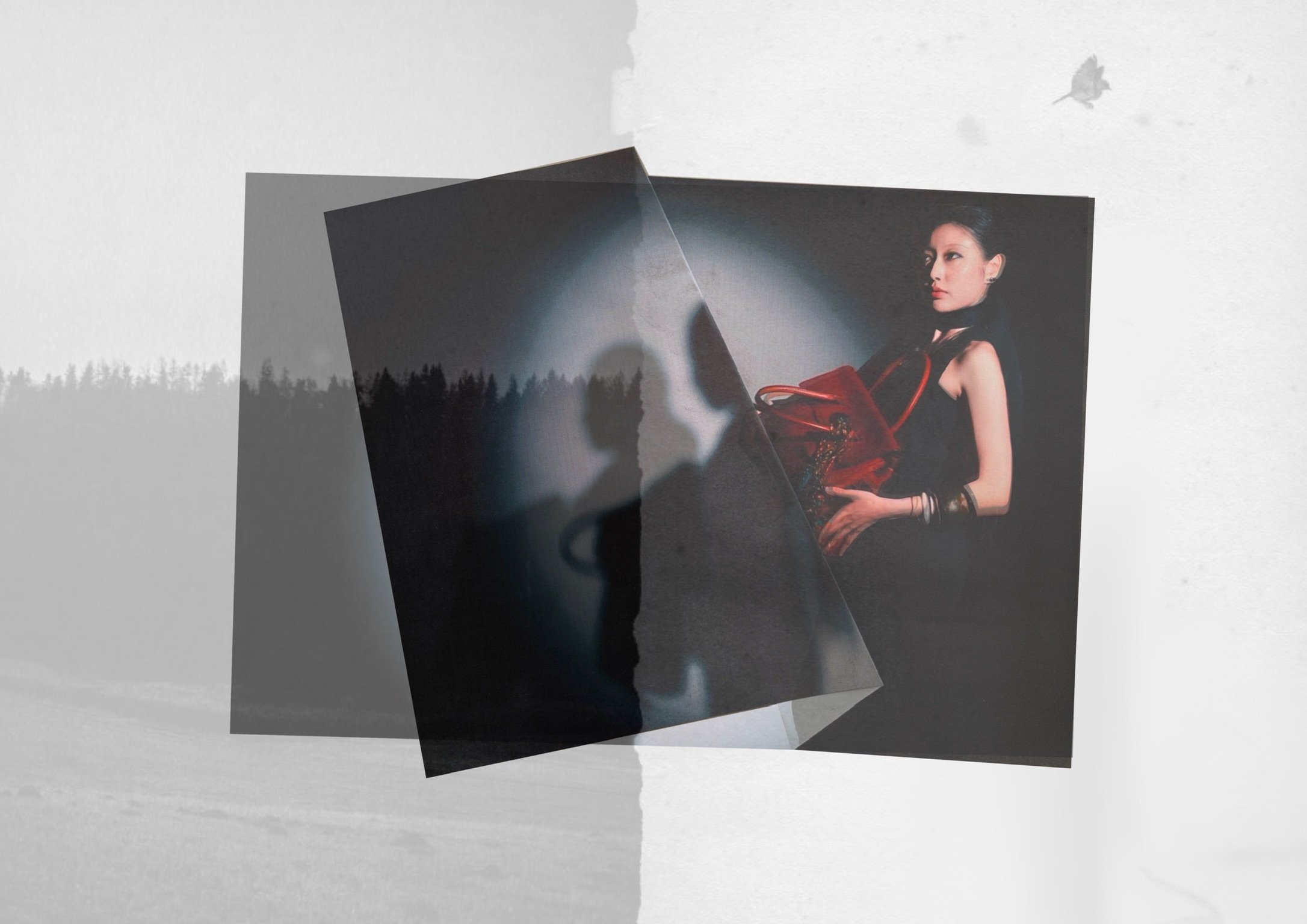 Photograph of a woman with dark hair styled in a bun, wearing a black dress with red accents, and holding a red purse. The image appears to be a portrait or fashion photo, with a dark background.