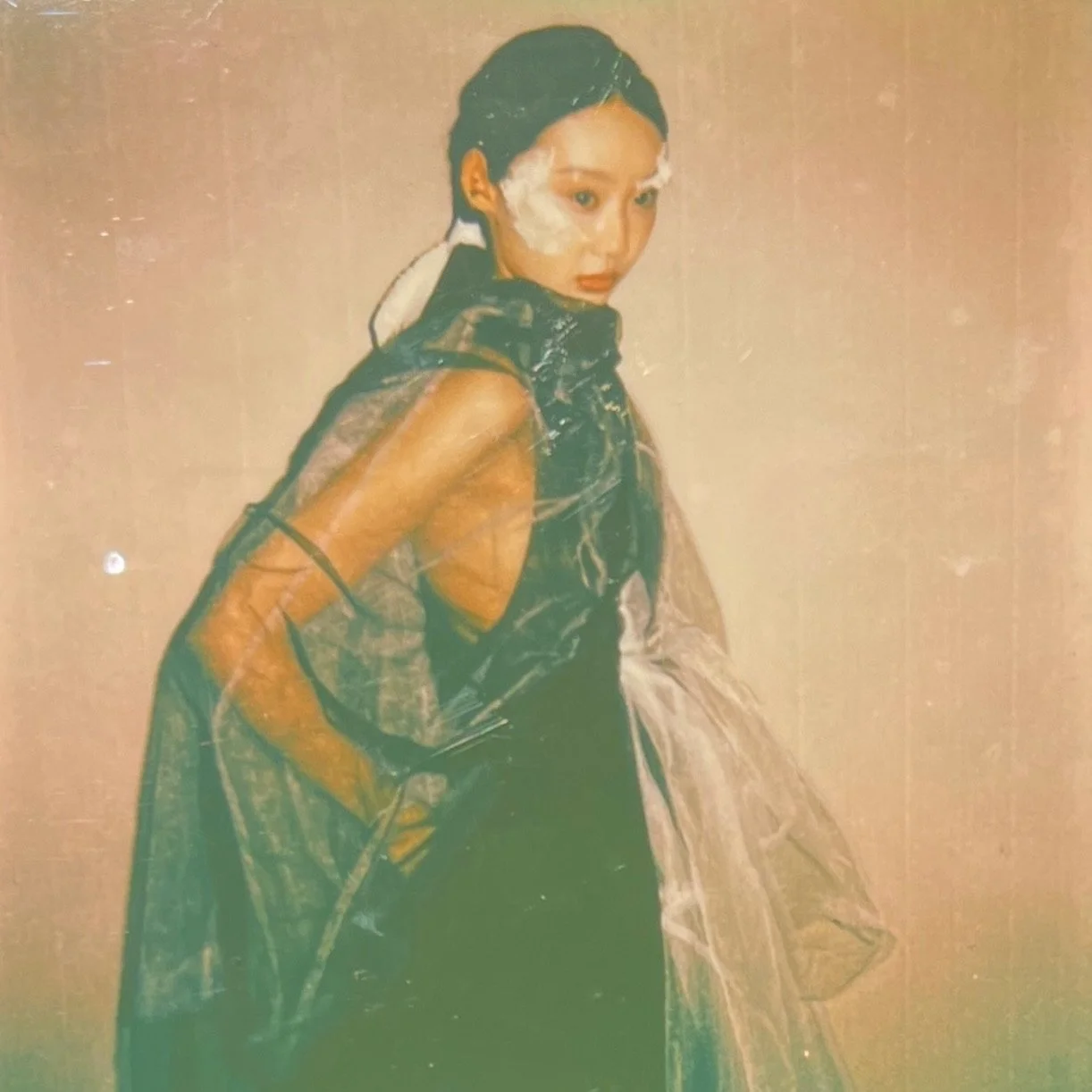 Young woman with dark hair in a braid wearing a vintage-style dress with sheer and brown fabric, standing against a plain background.