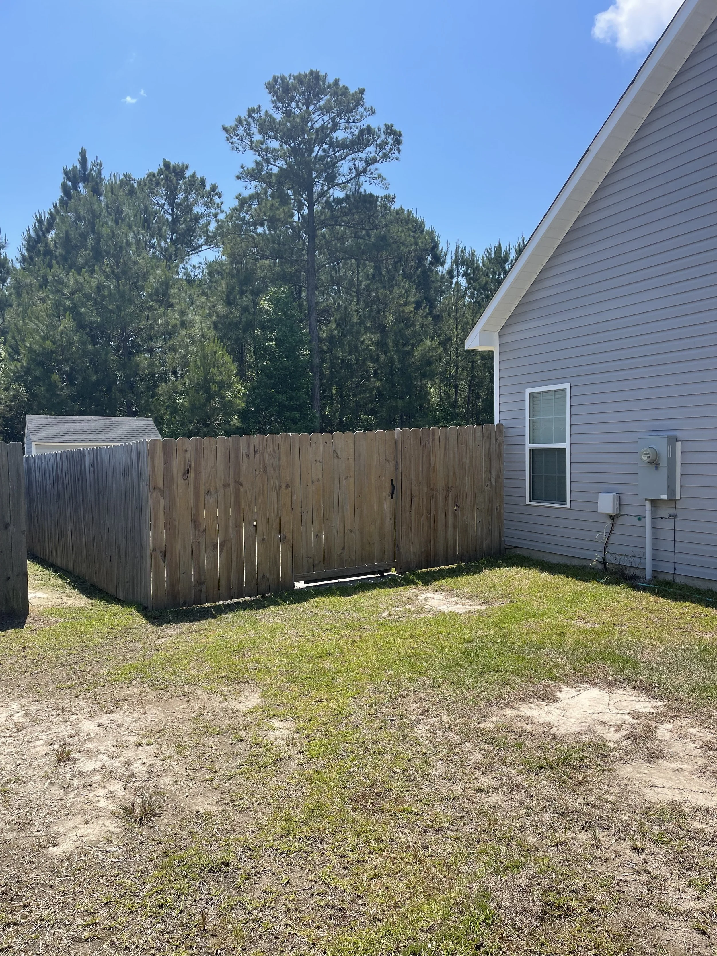 A backyard scene with a wooden fence, a gray house, a window, and a utility box, with tall pine trees and blue sky in the background.