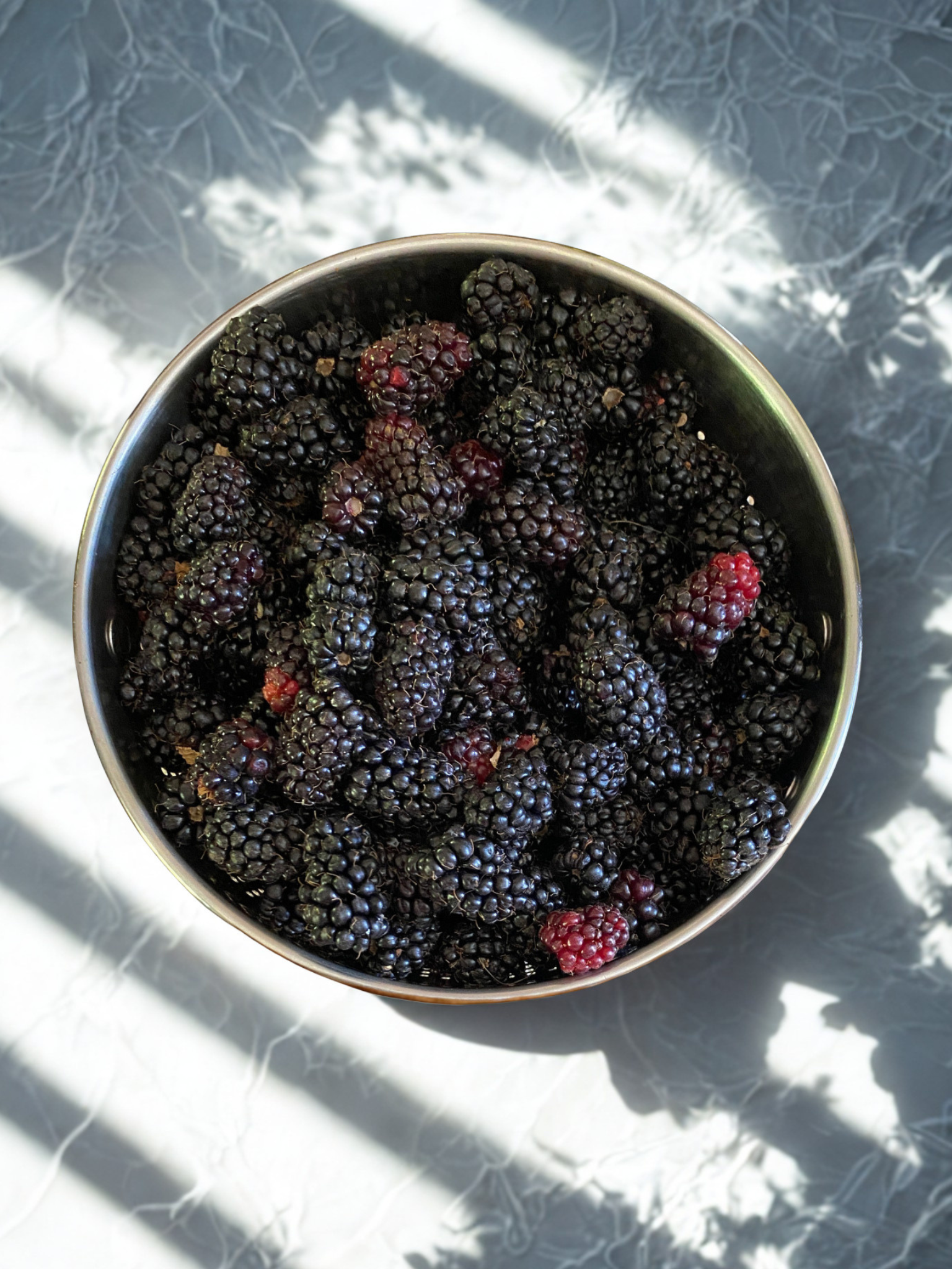 Blackberries