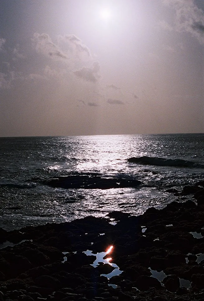 Southern Exposure