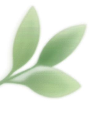 Three green succulent leaves for natural water purification options