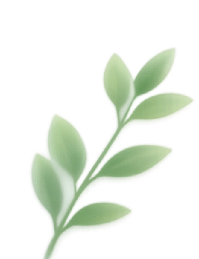 A close-up of a green plant with several oval-shaped leaves on a single stem, against a transparent background.