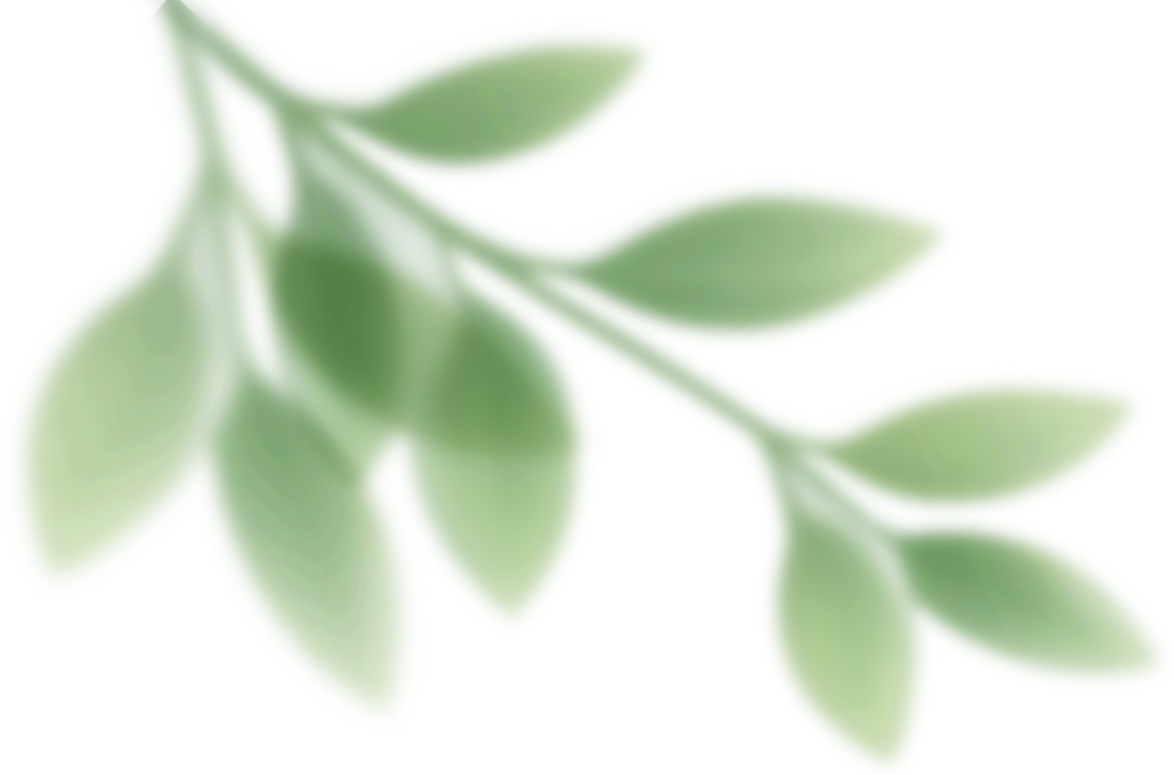 A digital illustration of a small green plant with soft, rounded leaves.