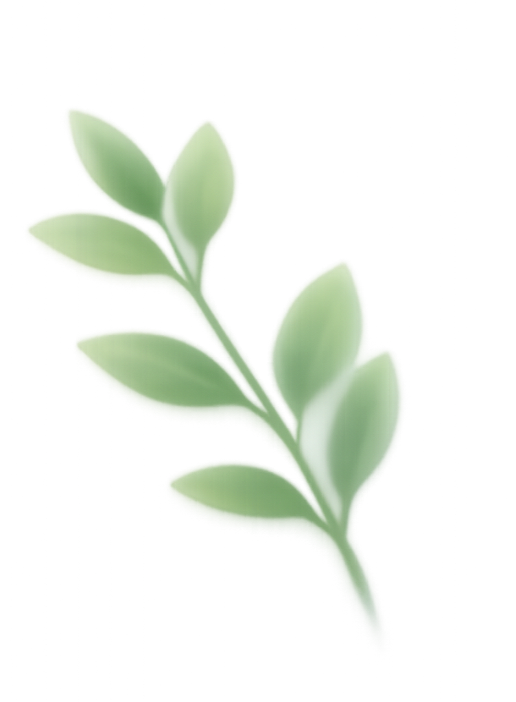 A close-up of a green succulent plant with rounded leaves.