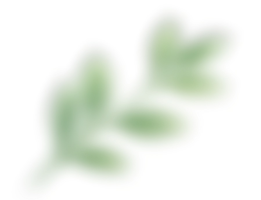 Blurry green abstract shape with no distinct features.
