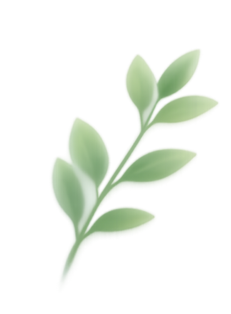 Close-up of a green succulent plant with rounded leaves.