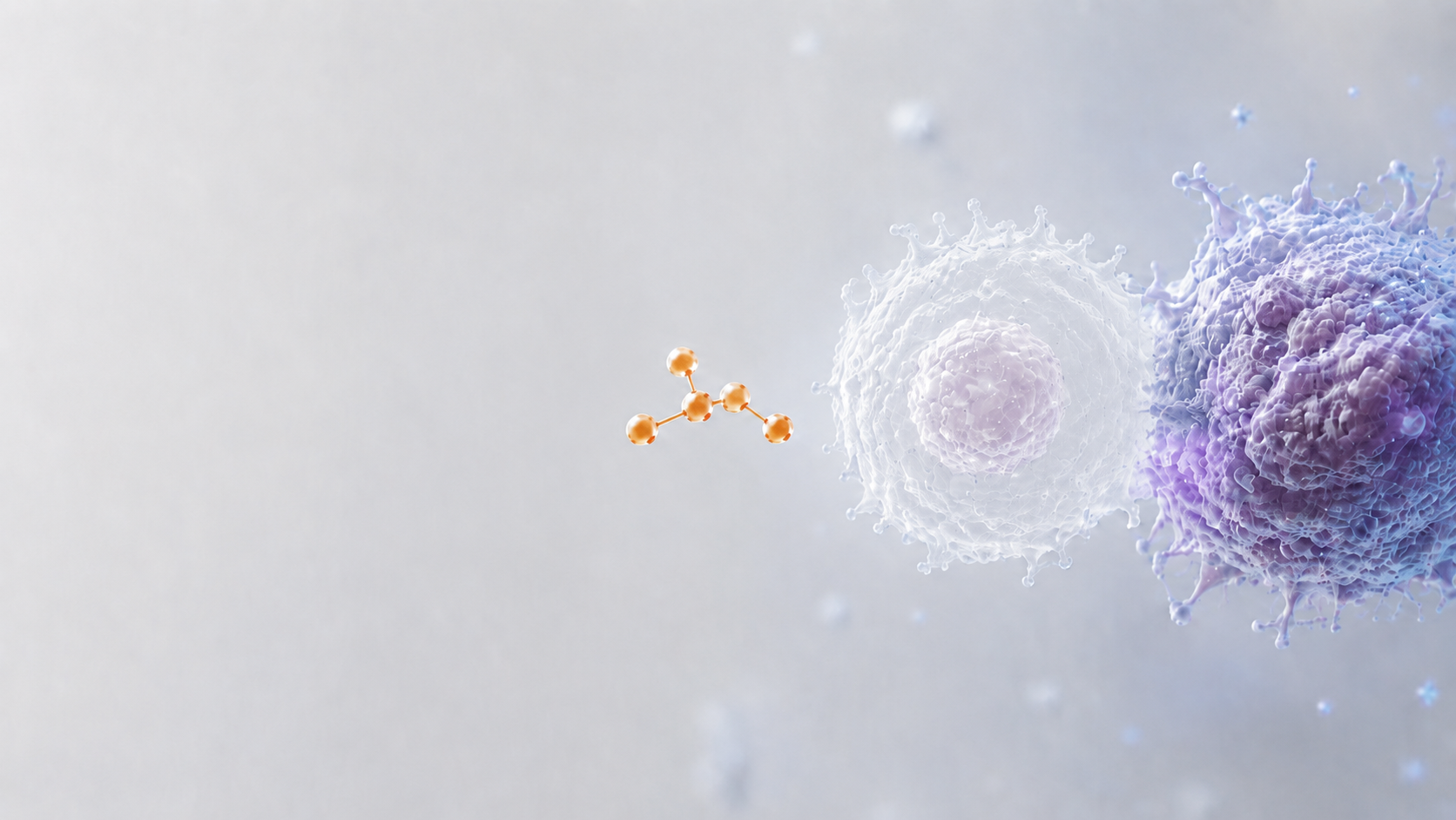 cellcontrol_video_fallback_first_frame.png