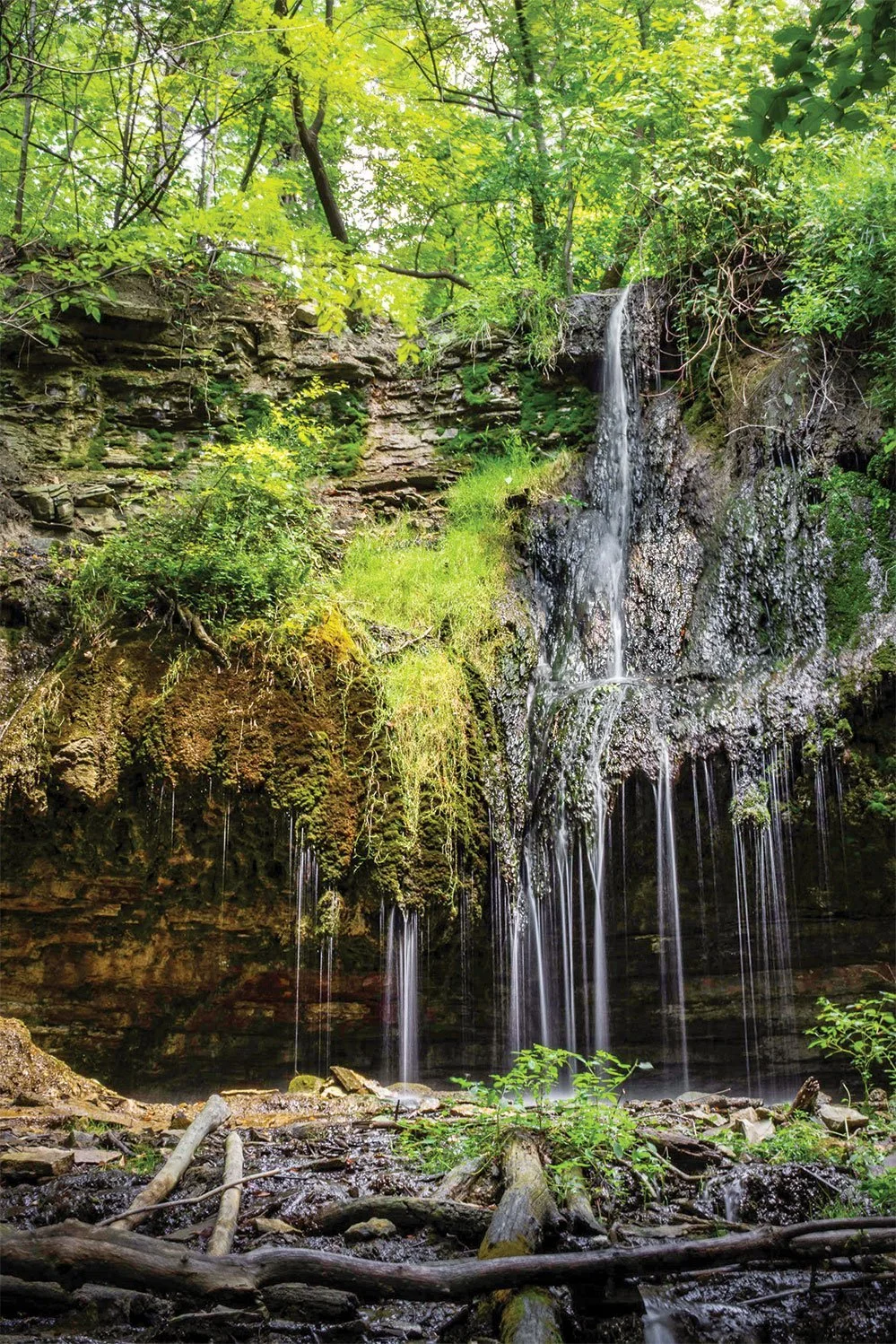 A small waterfall flowing over rocky ledge into a forested area with lush green foliage, moss-covered rocks, and fallen branches in the foreground.