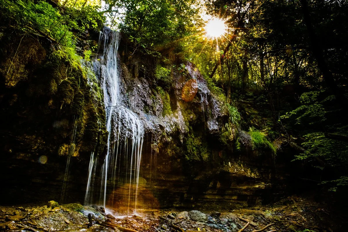 Sunlight shining through trees over Shadow Falls waterfall and rocky stream in a lush forest.