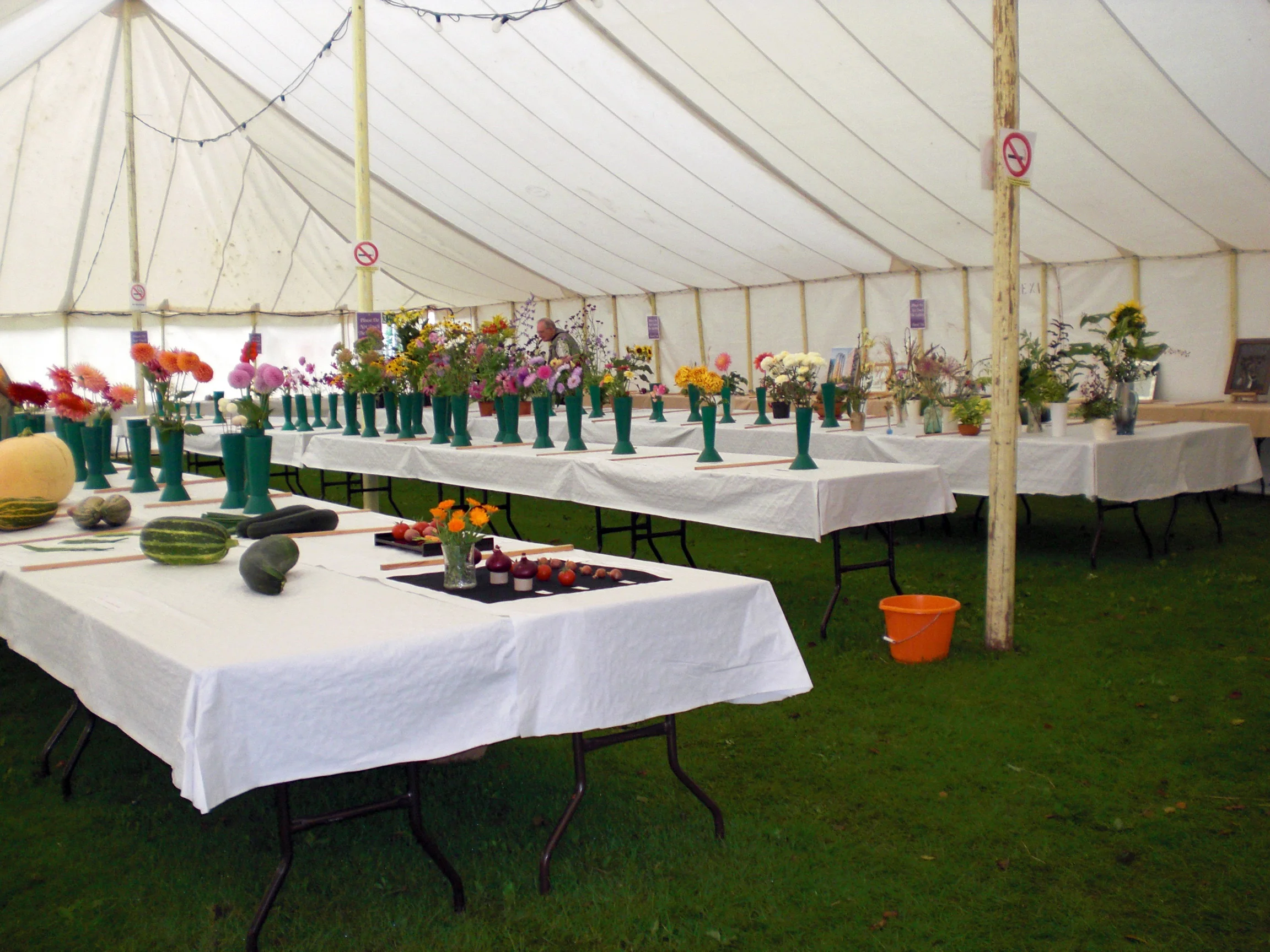 Flowers 1.JPG