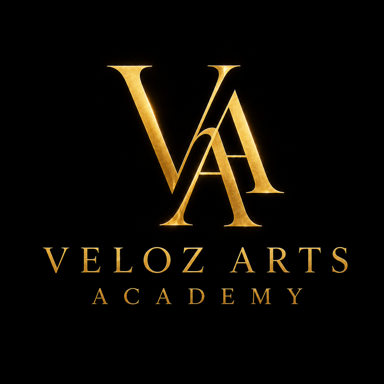 Veloz Arts Academy