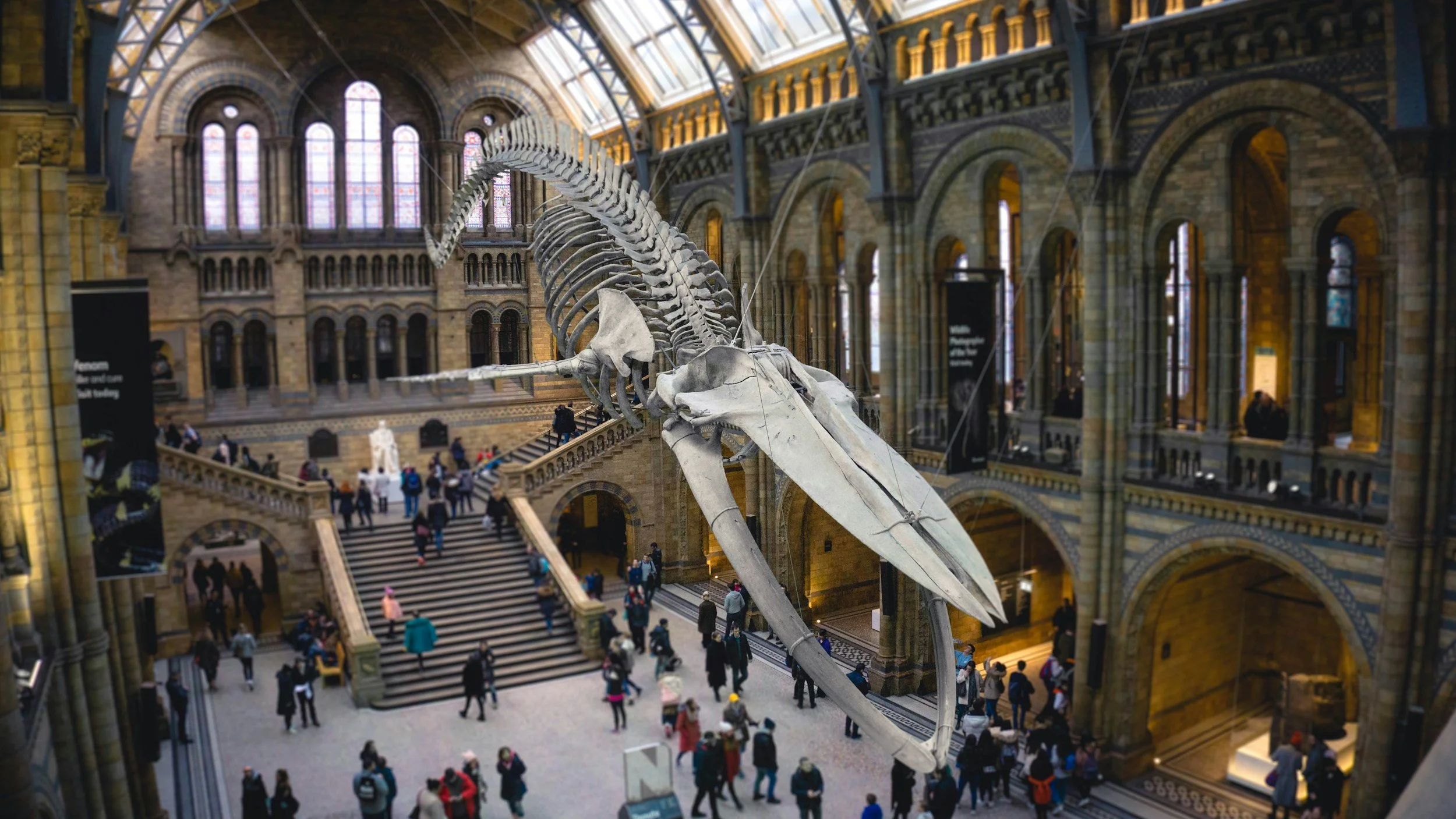 Inside a grand historic building with a large whale skeleton display suspended in the center. The interior features high arched windows, intricate architectural details, and multiple levels with railings and stairs, with many visitors walking around.