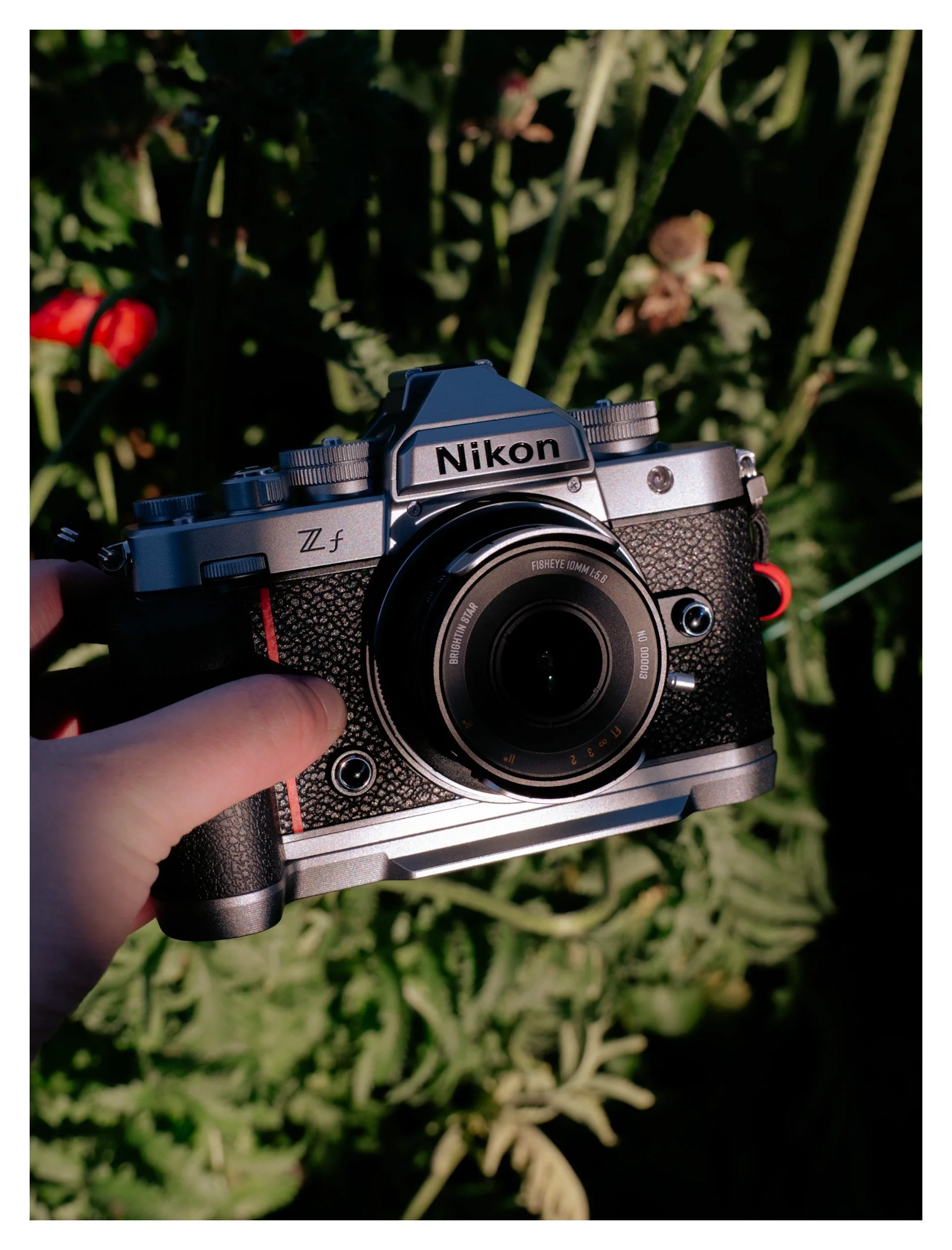 Nikon Zf - One Month Later